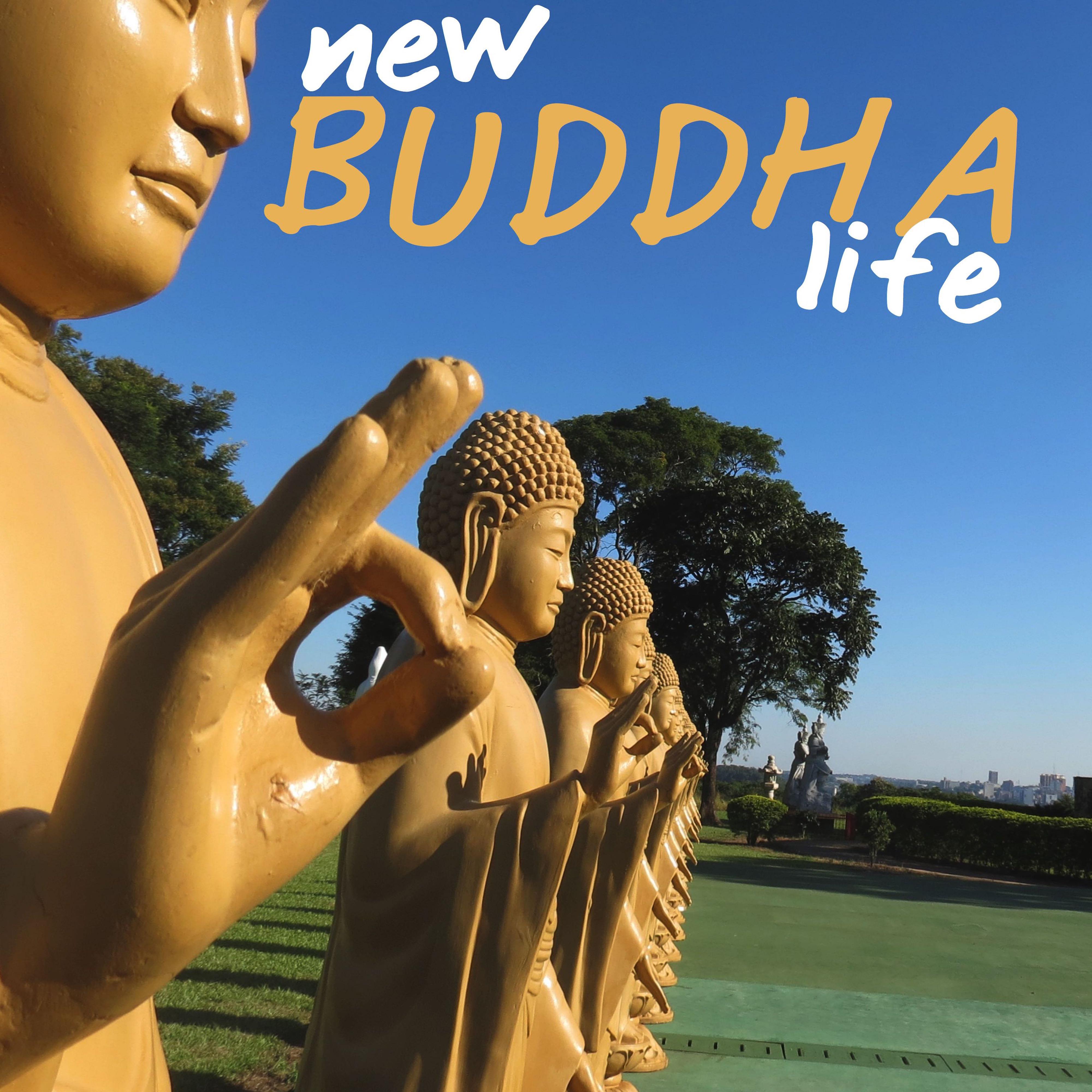 New Buddha Life Sounds
