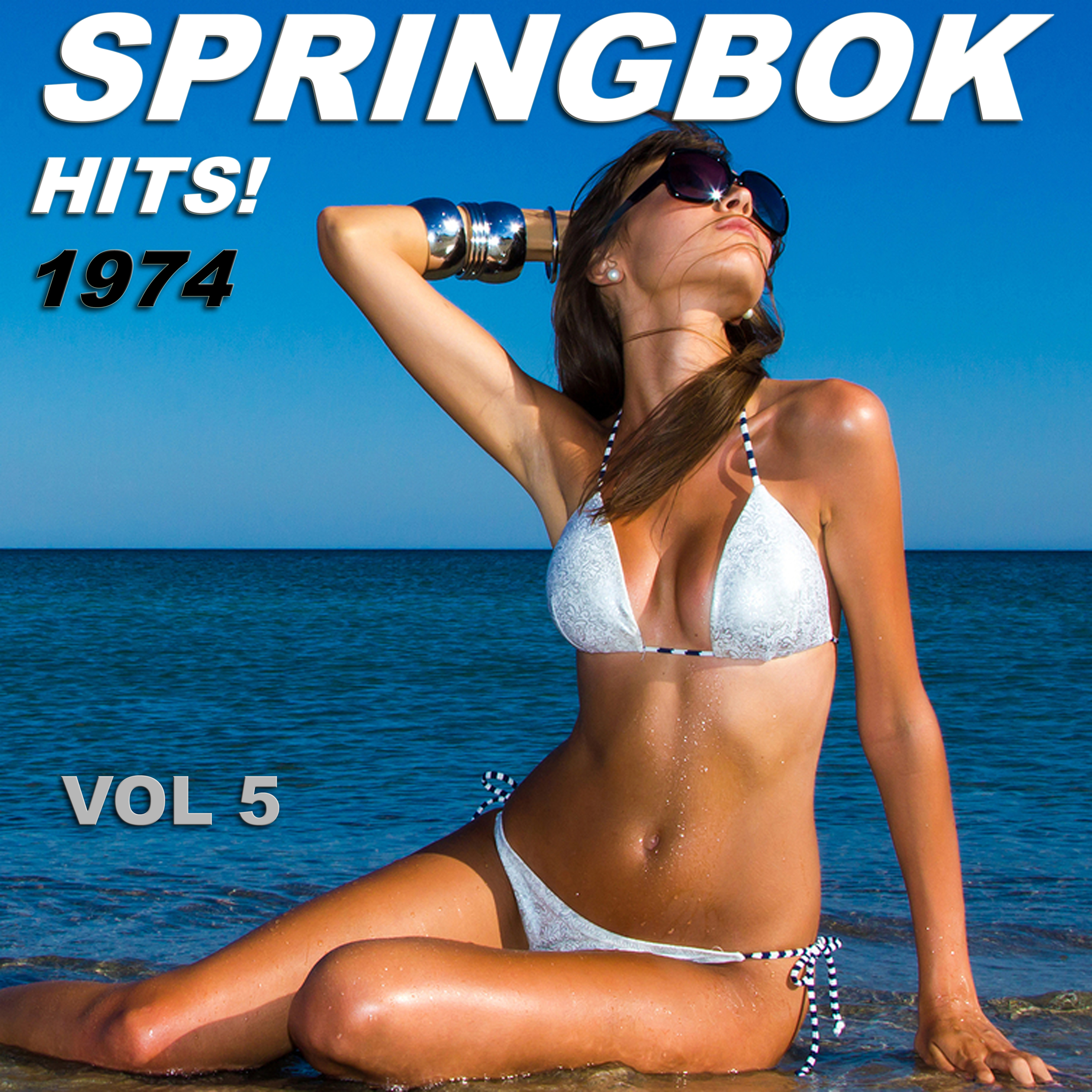 Springbok Hits 1974 - Vol 5