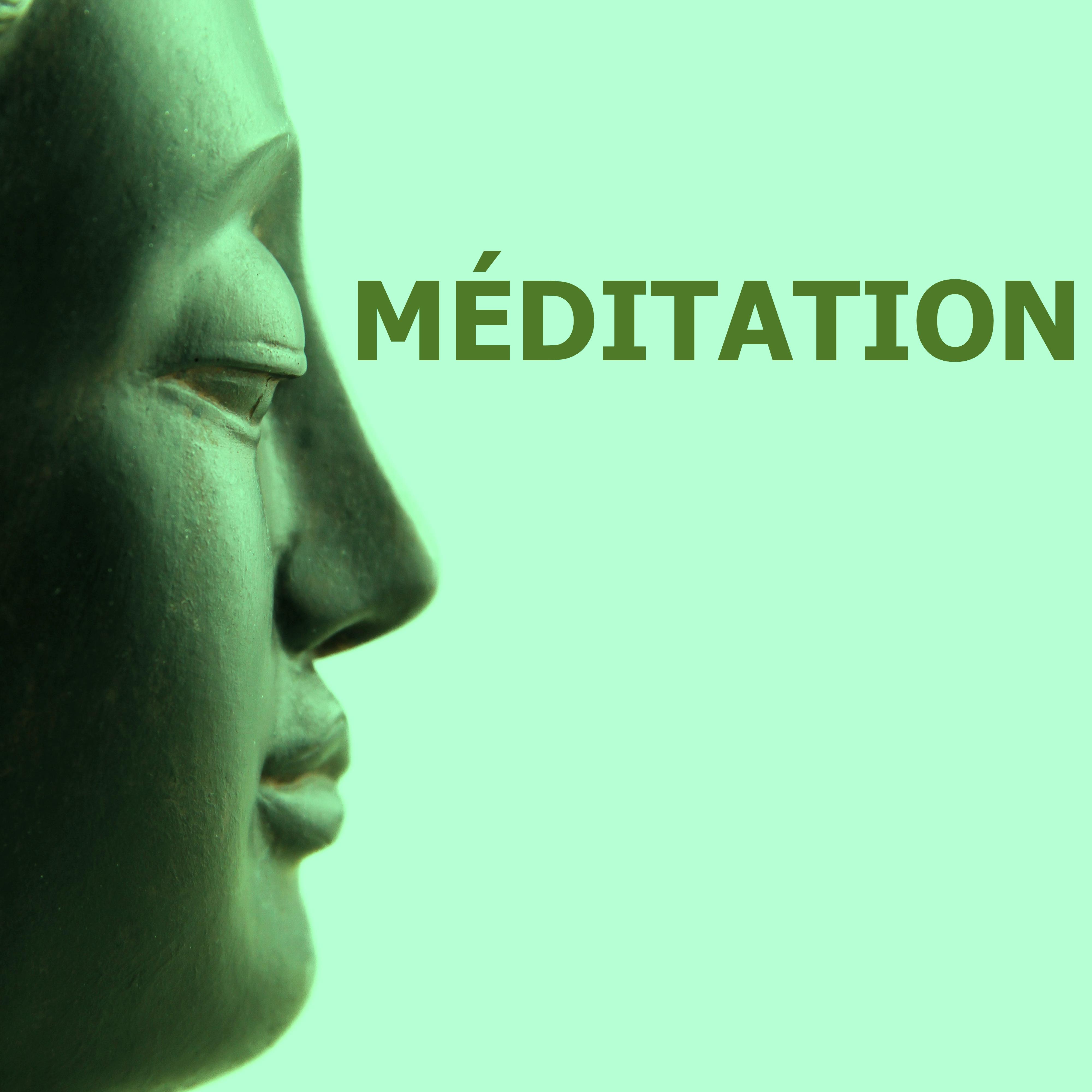 Méditation - Musique Jardin Zen pour Yoga et Relaxation, Découvrez le Monde du Chakras du Coeur