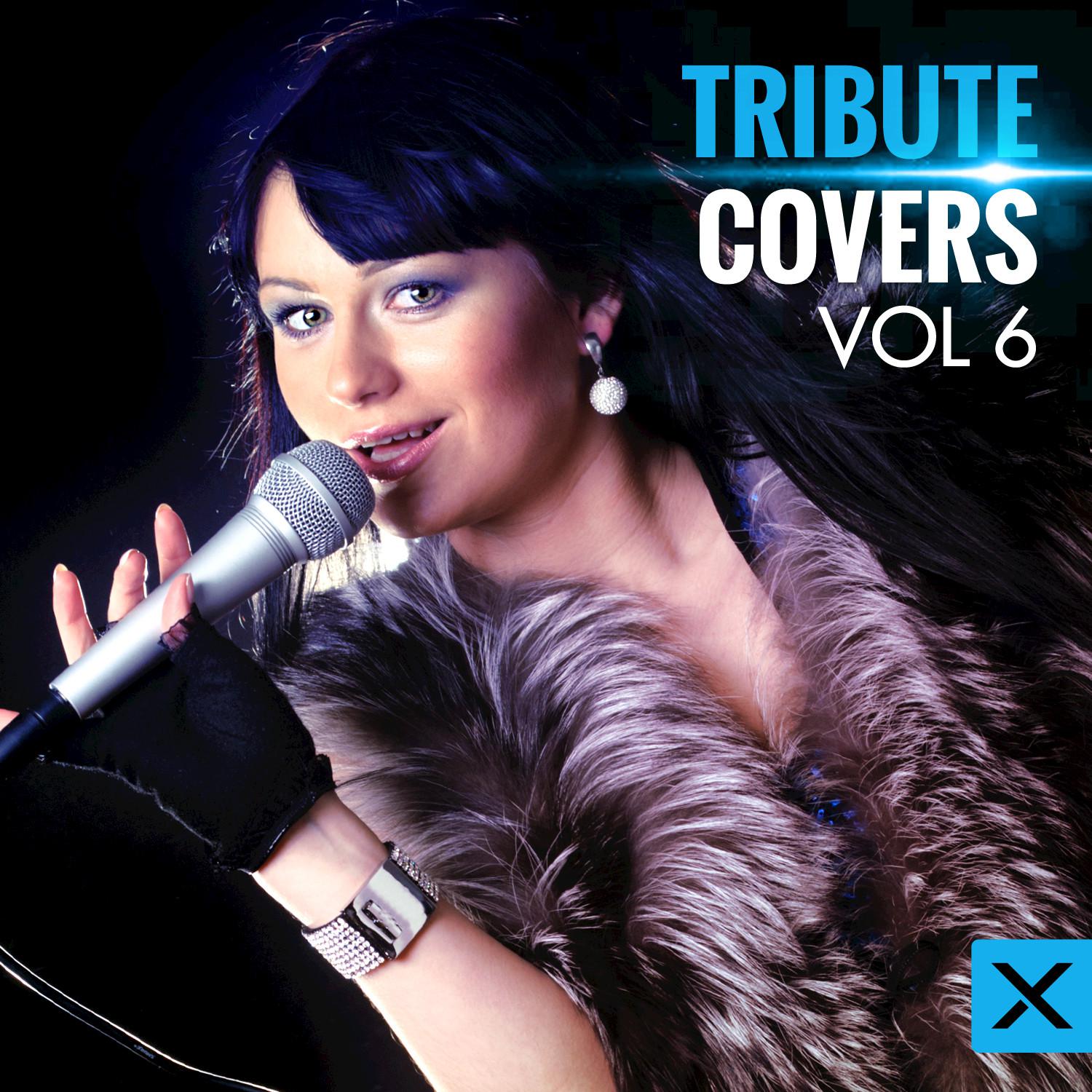 Tribute Covers, Vol. 6