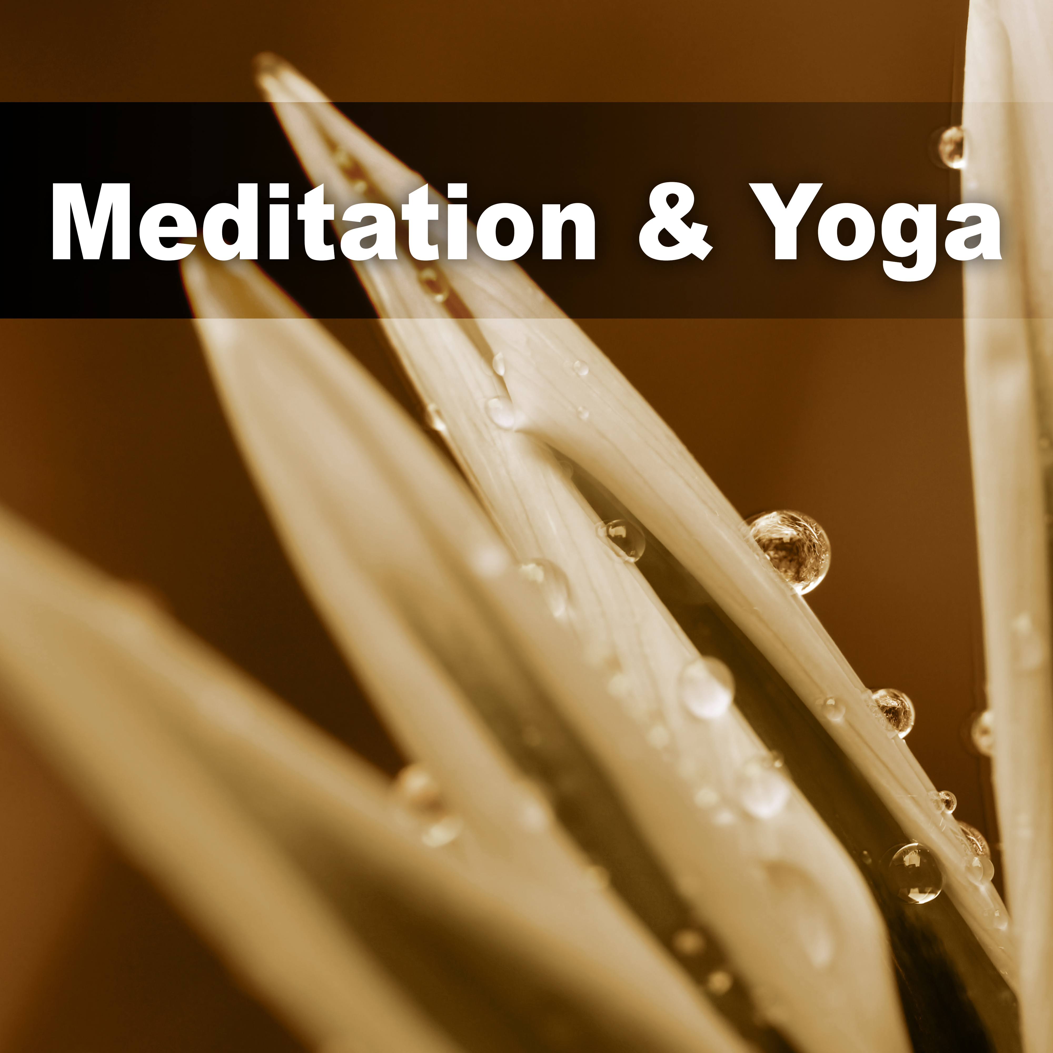 Meditation & Yoga – Massage Music, Reiki, Harmony Yoga, Relaxation Songs