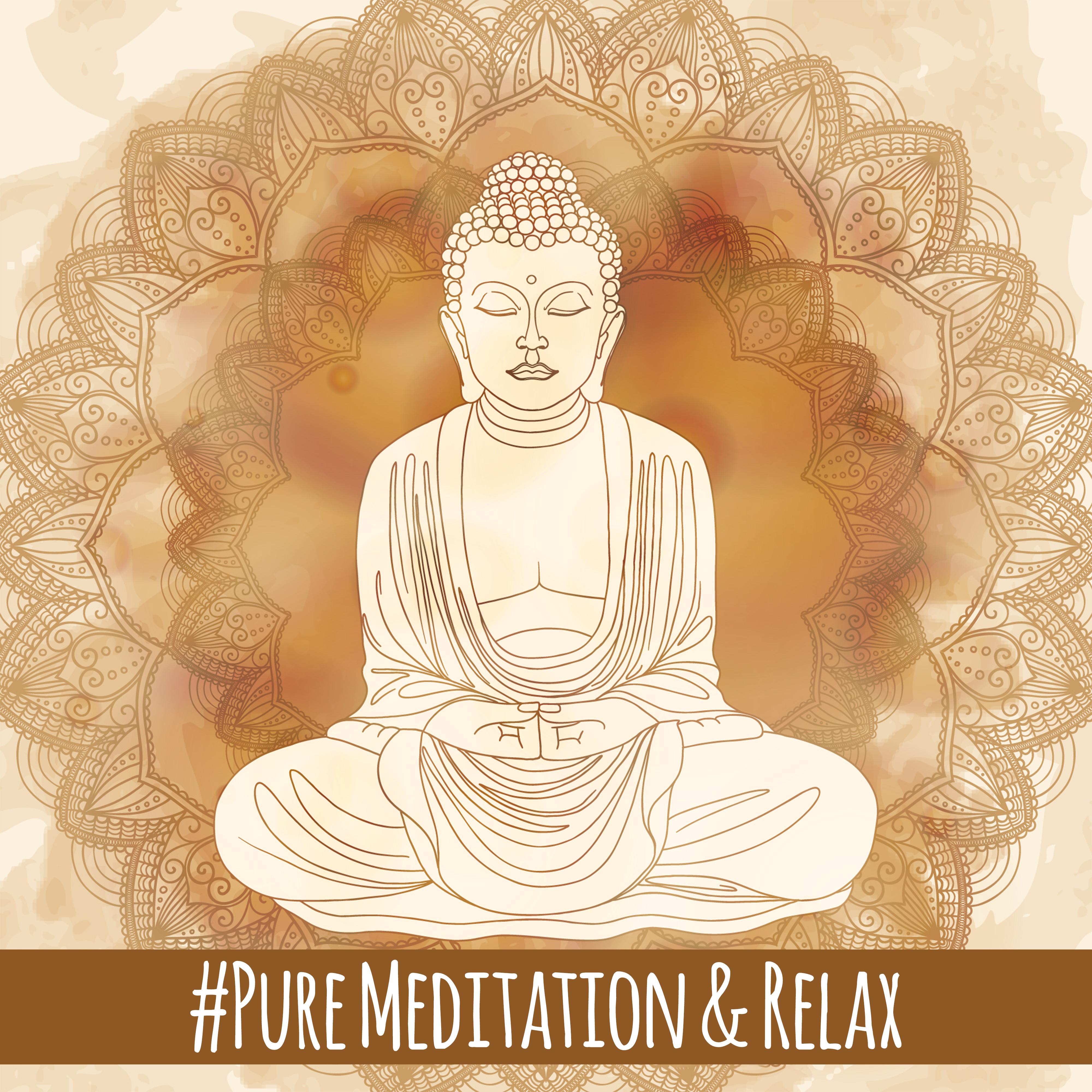 #Pure Meditation & Relax