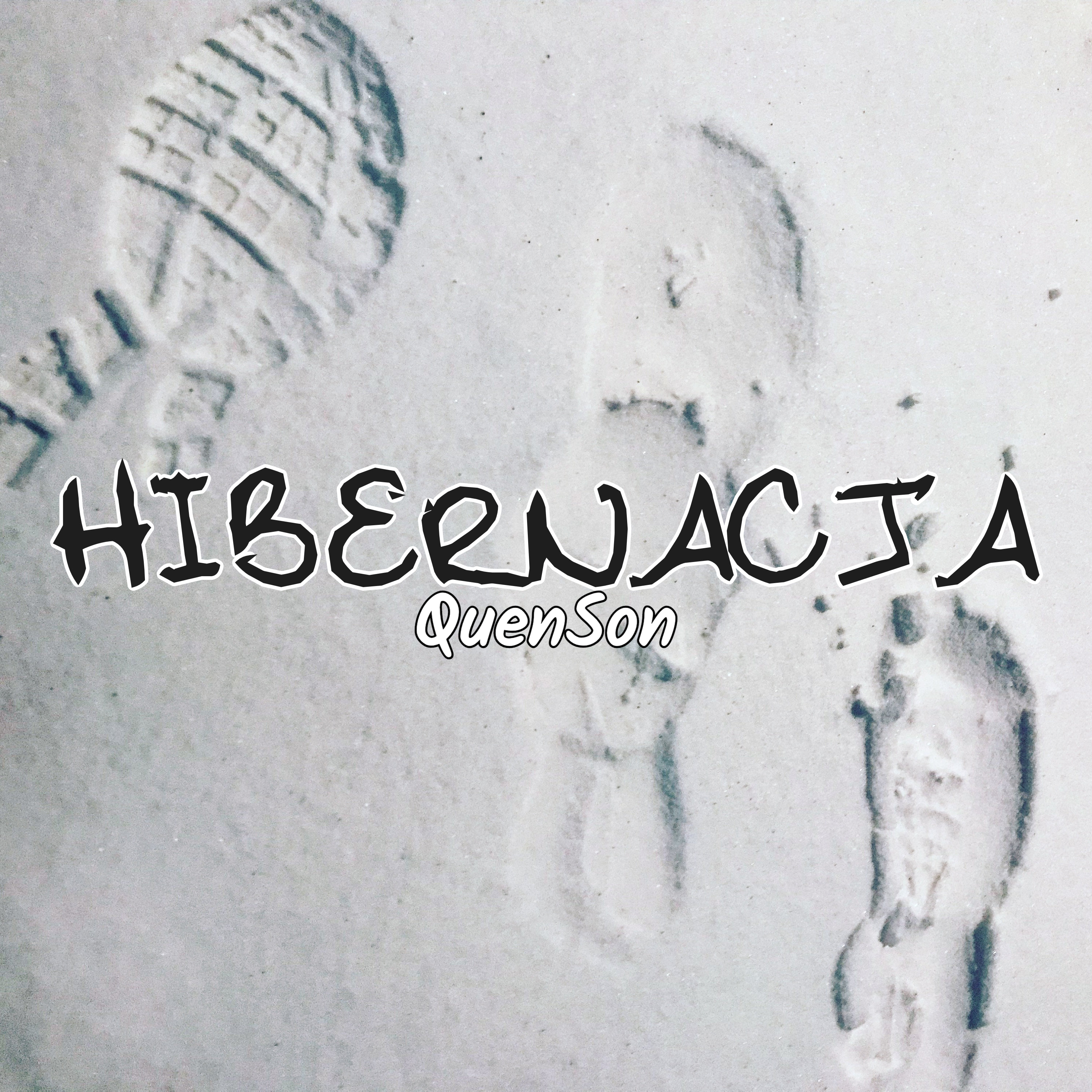 Hibernacja