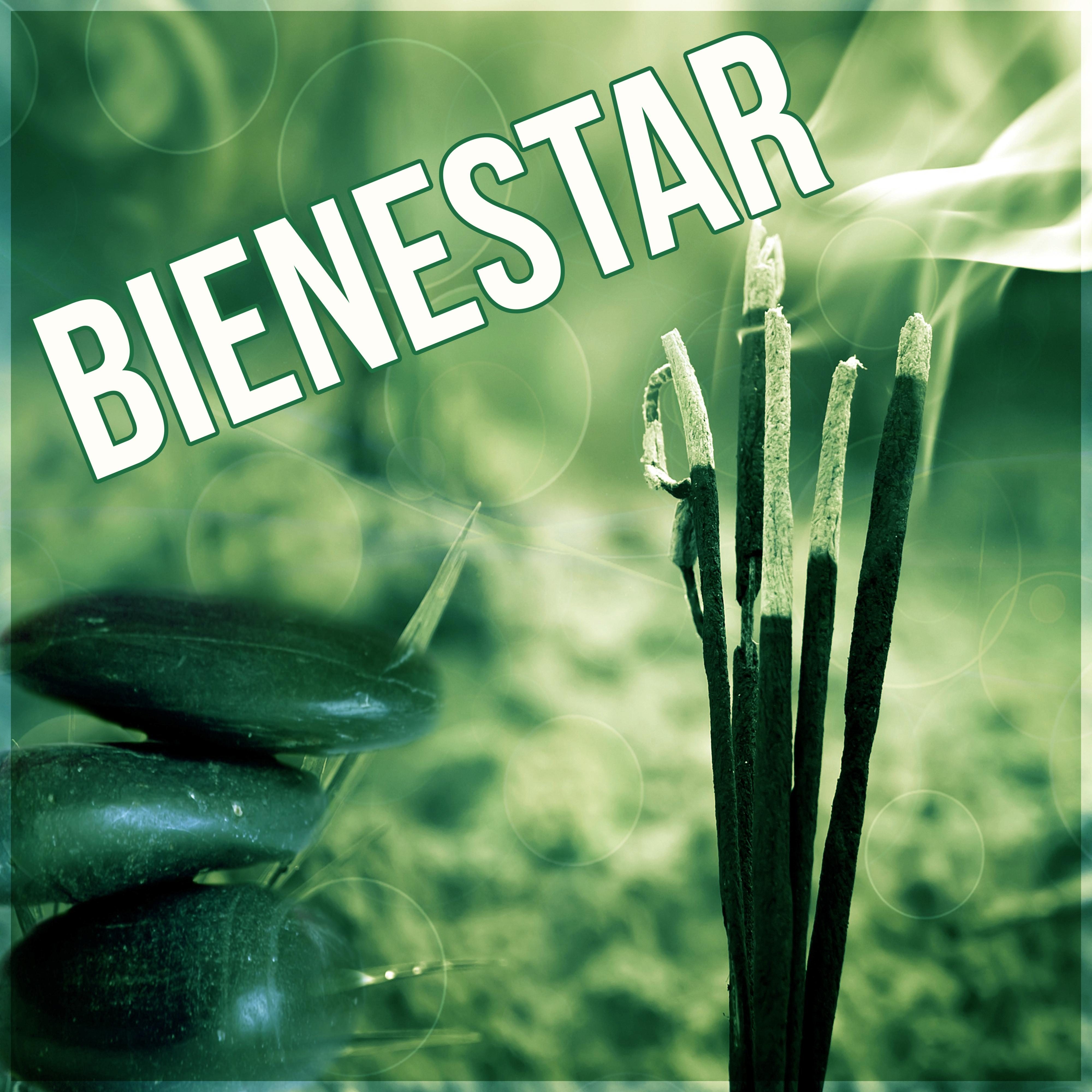 Bienestar – Relajacion, Musica para Meditacion, Reiki, Ayurveda, Meditar, Spa, Serenidad, Sanar el Alma