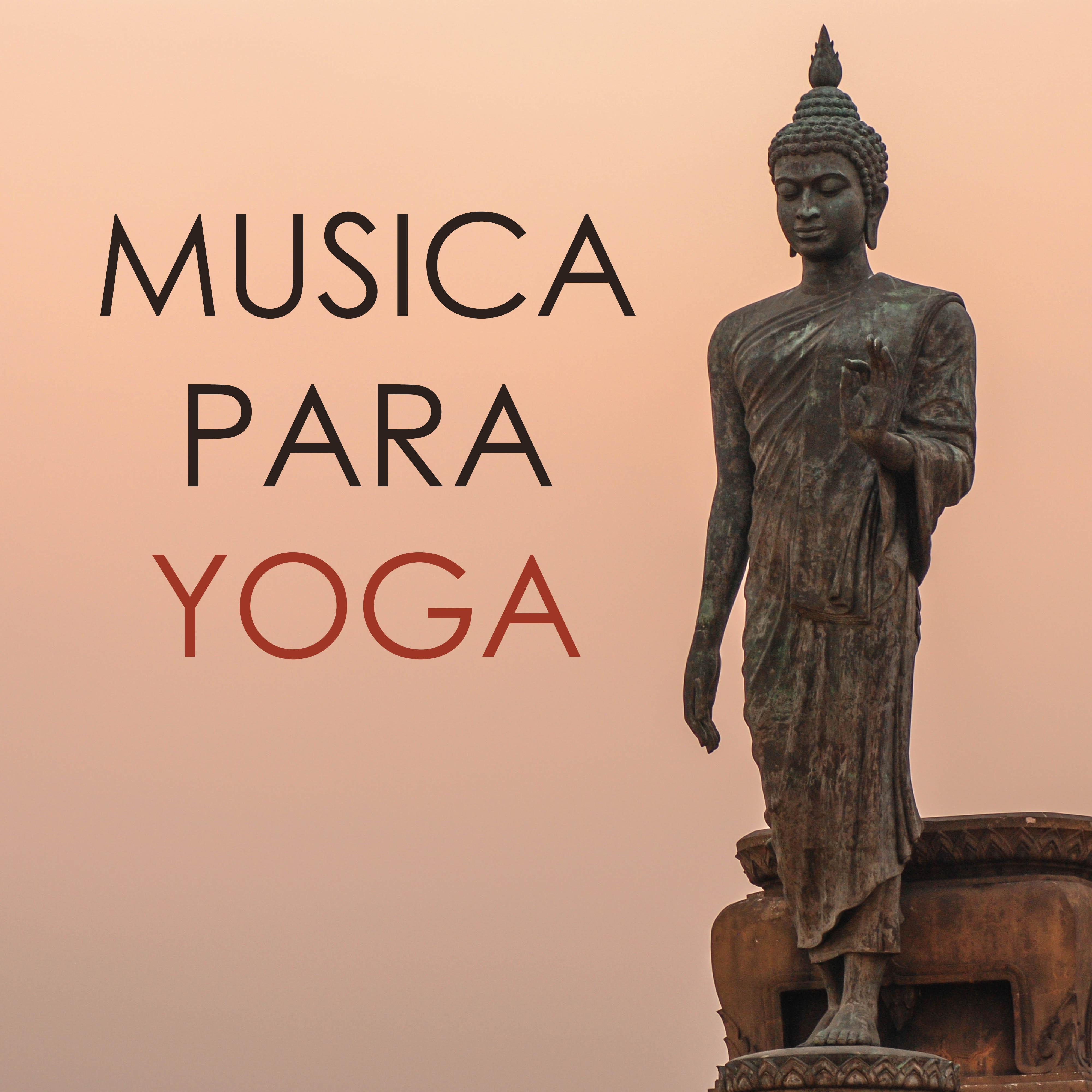 Musica para Meditación Consciente