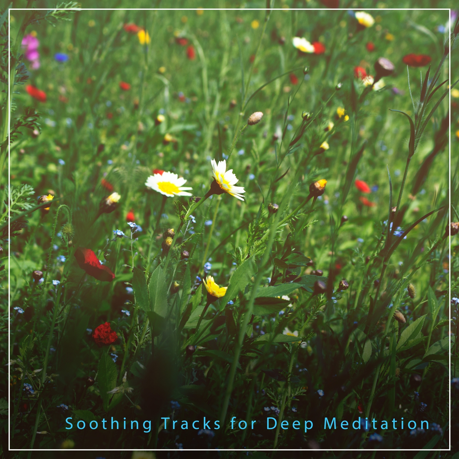 15 Soothing Tracks for Deep Meditation and Relaxation