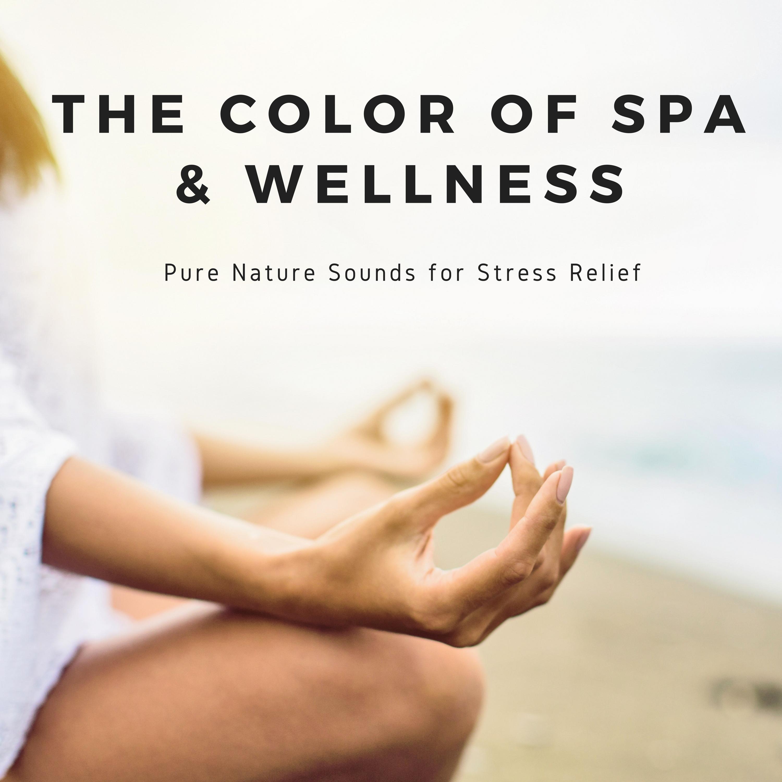 The Color of Spa & Wellness - Soothing Music, Pure Nature Sounds for Stress Relief, Background Music, Sensual Massage, Harmony of Senses