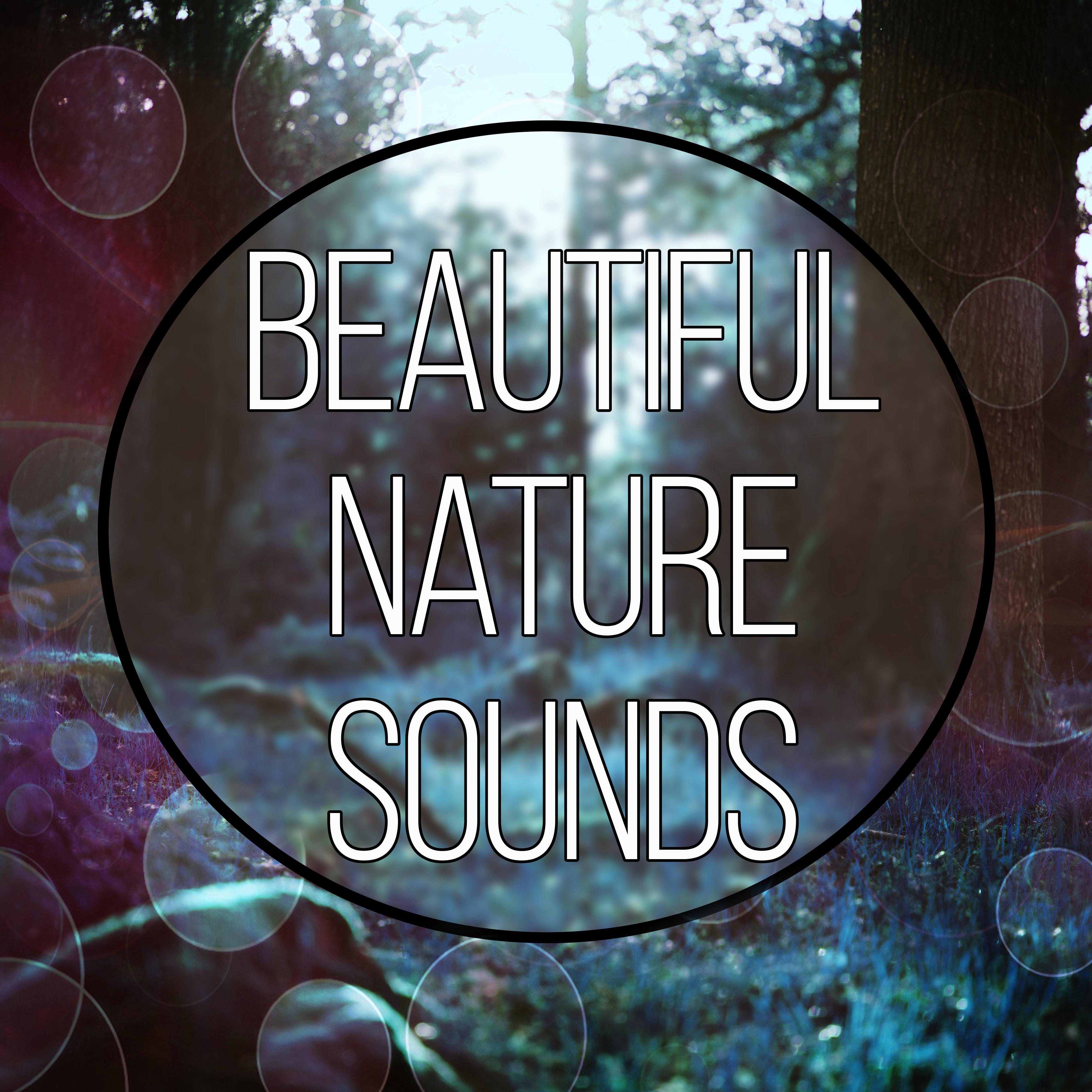 Beautiful Nature Sounds - Calm Music for Sensual Massage and Deep Sleep, Piano Songs, Restful Sleep, Sounds of Nature, Healing Meditation, Total Relax