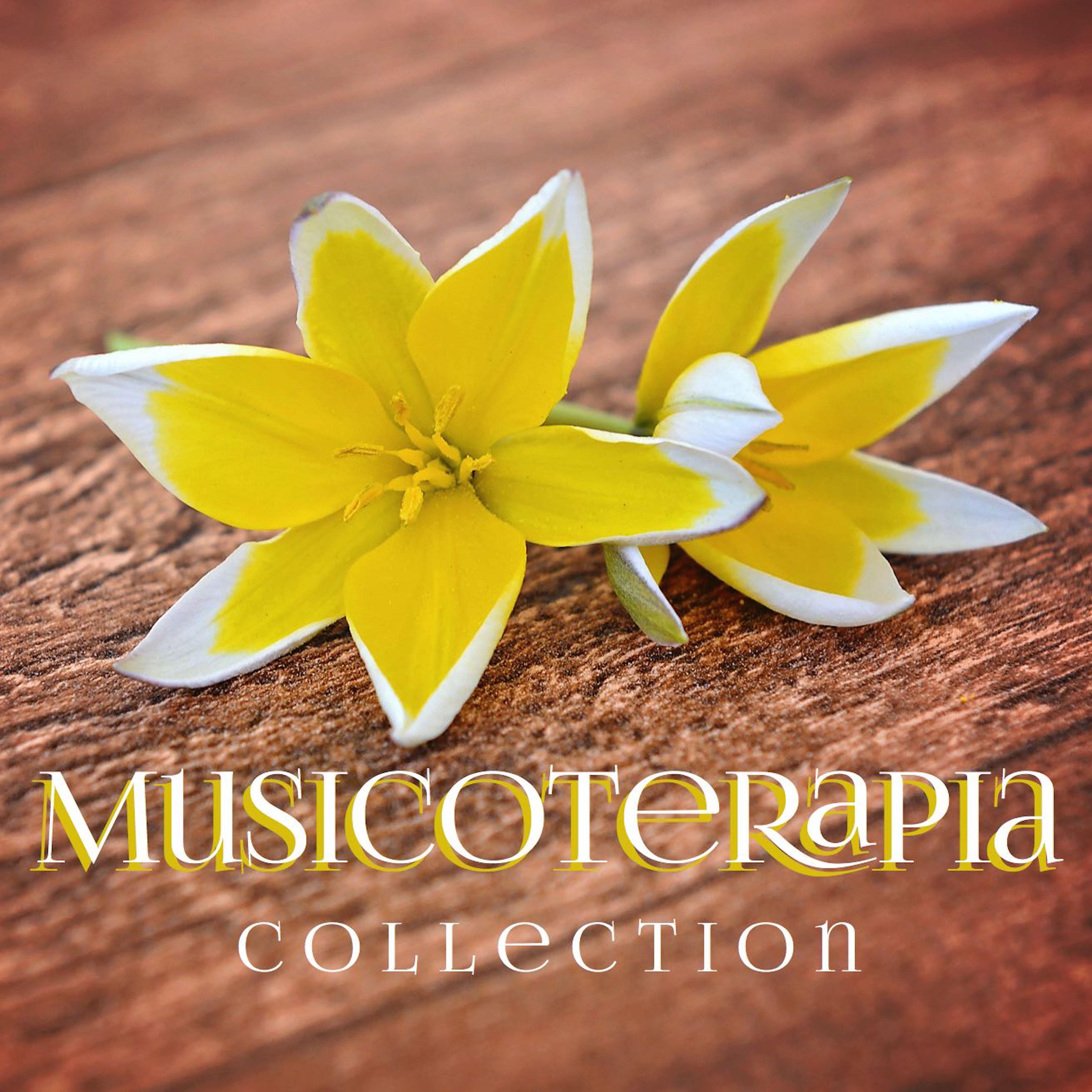 Musicoterapia Collection