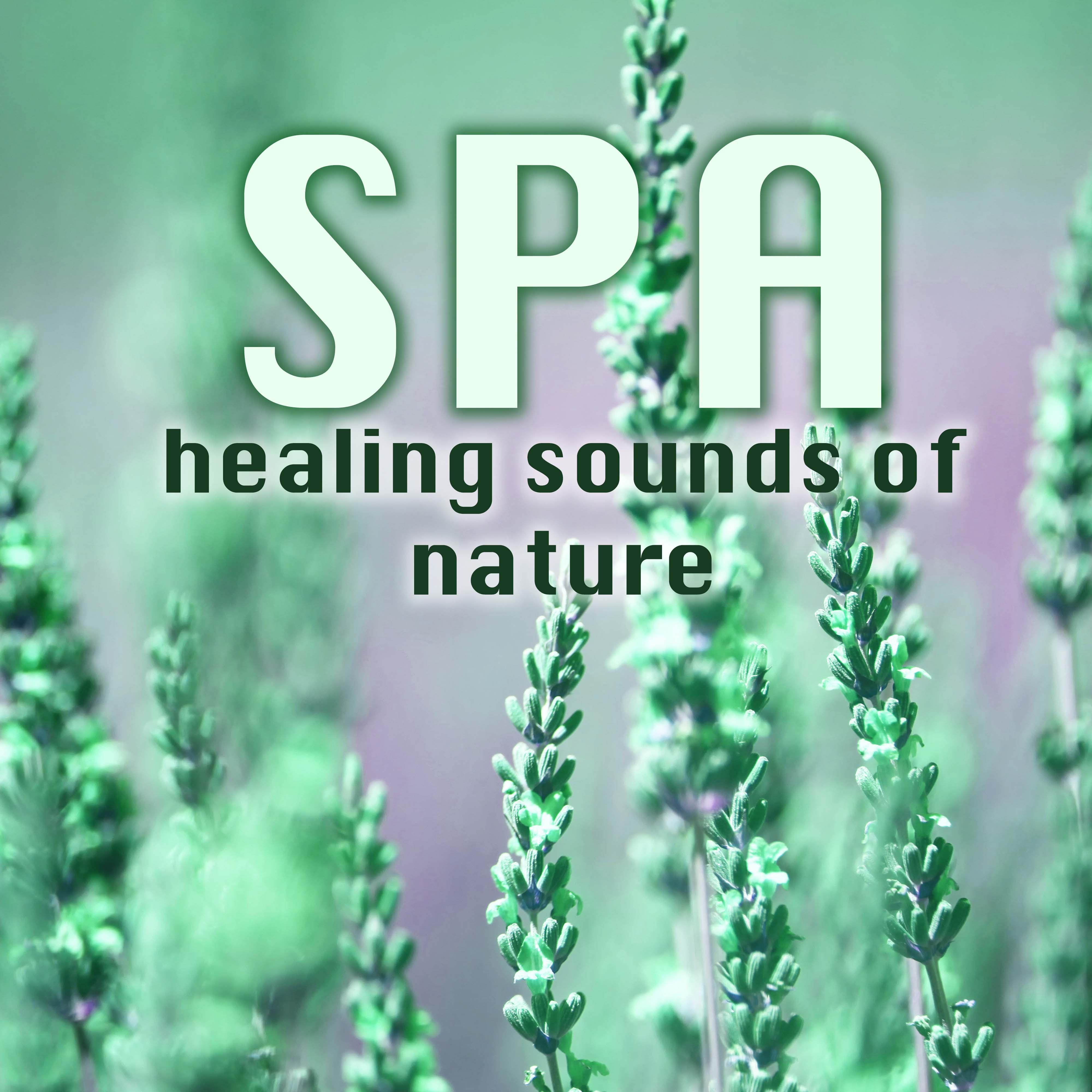 Spa Healing Sounds of Nature