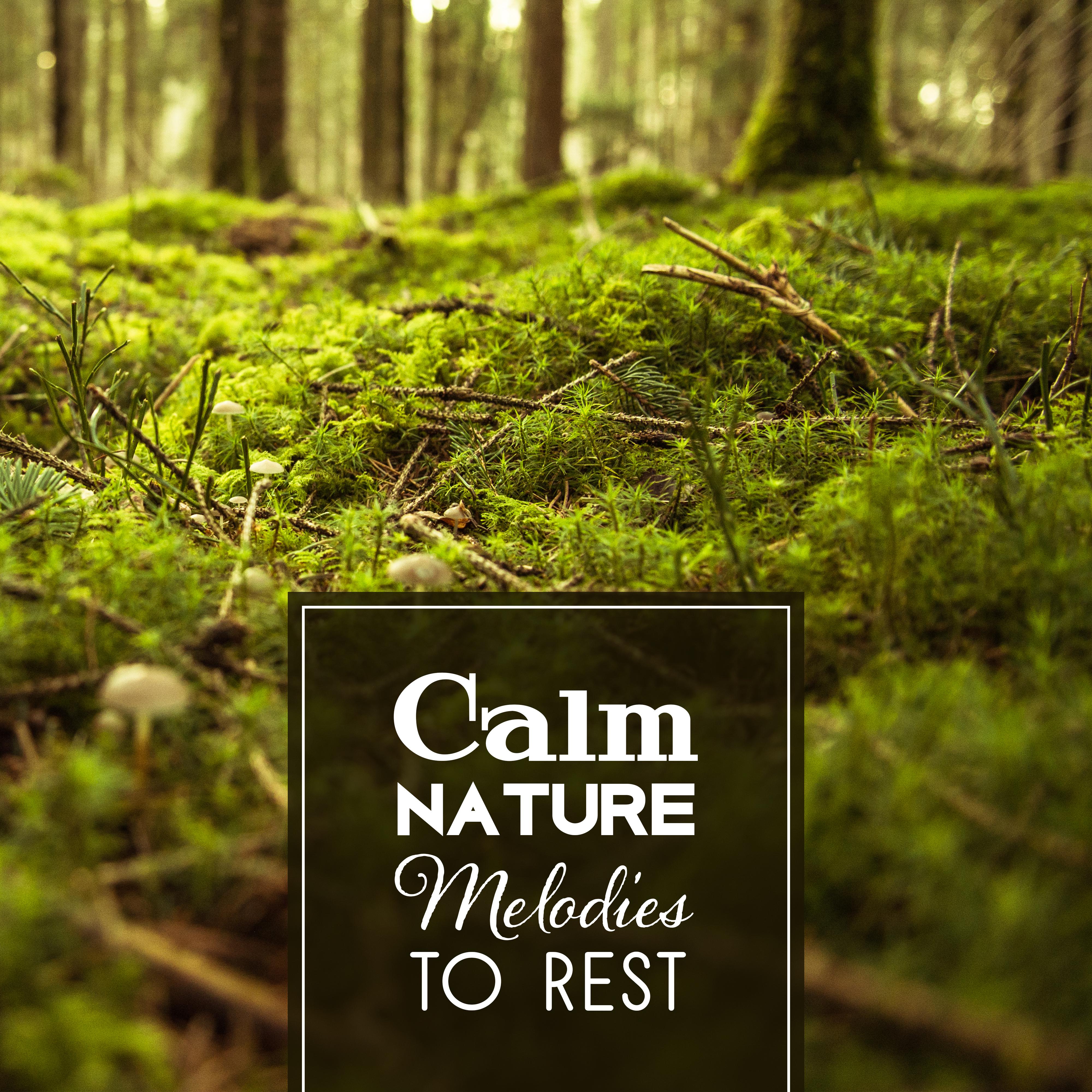 Calm Nature Melodies to Rest – Soothing Nature Waves, Healing Touch, Peaceful Mind Music