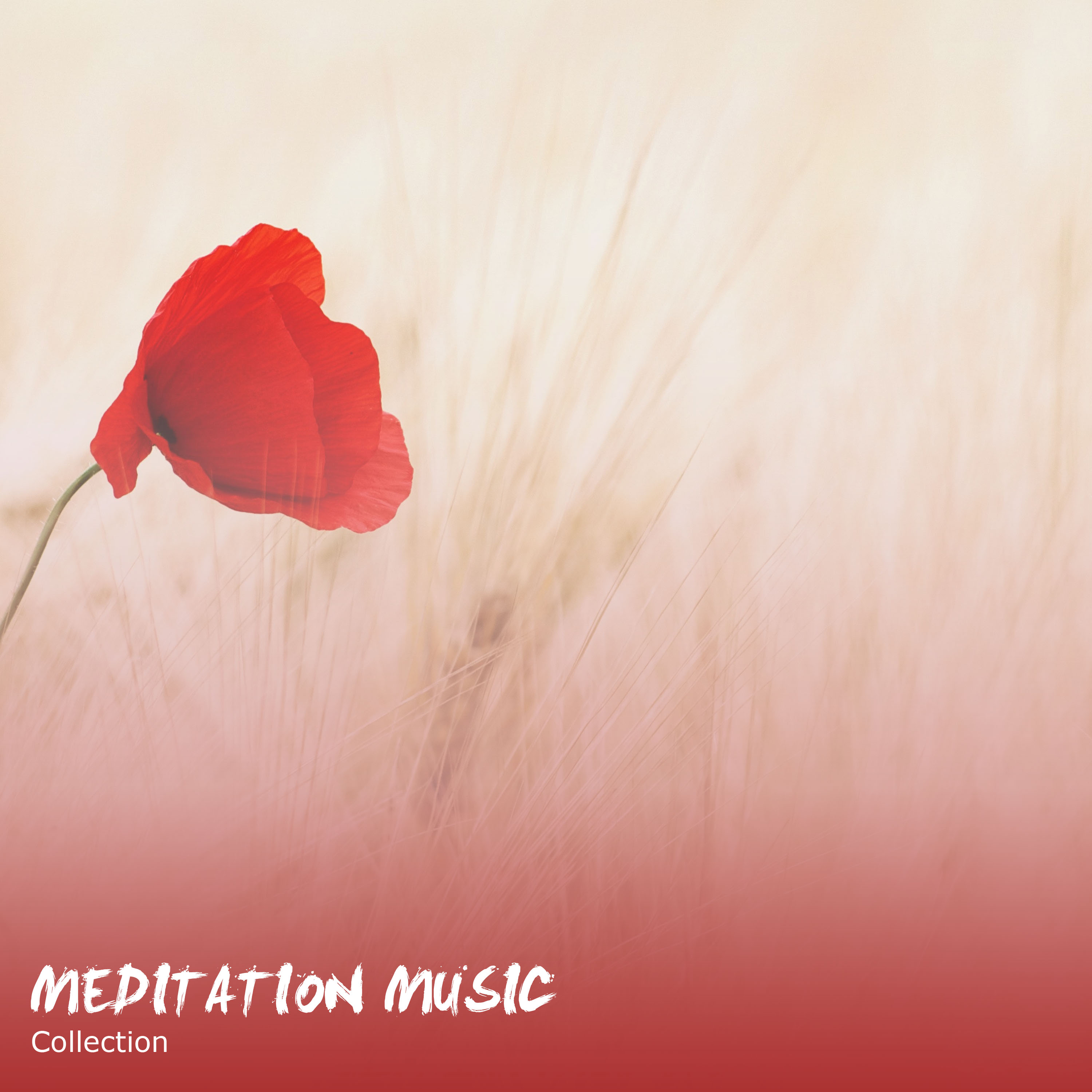 17 Meditation Music Collection