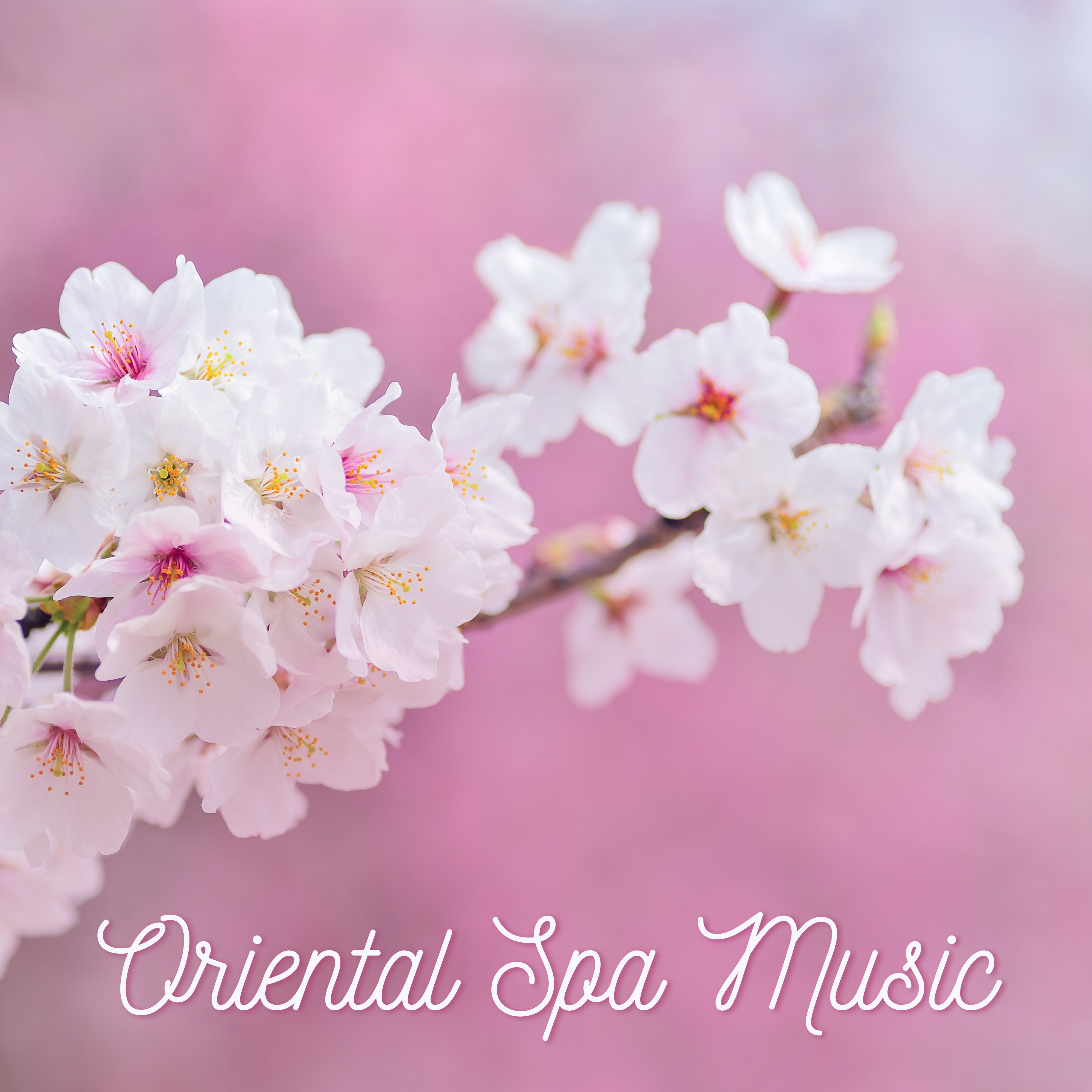 Oriental Spa Music
