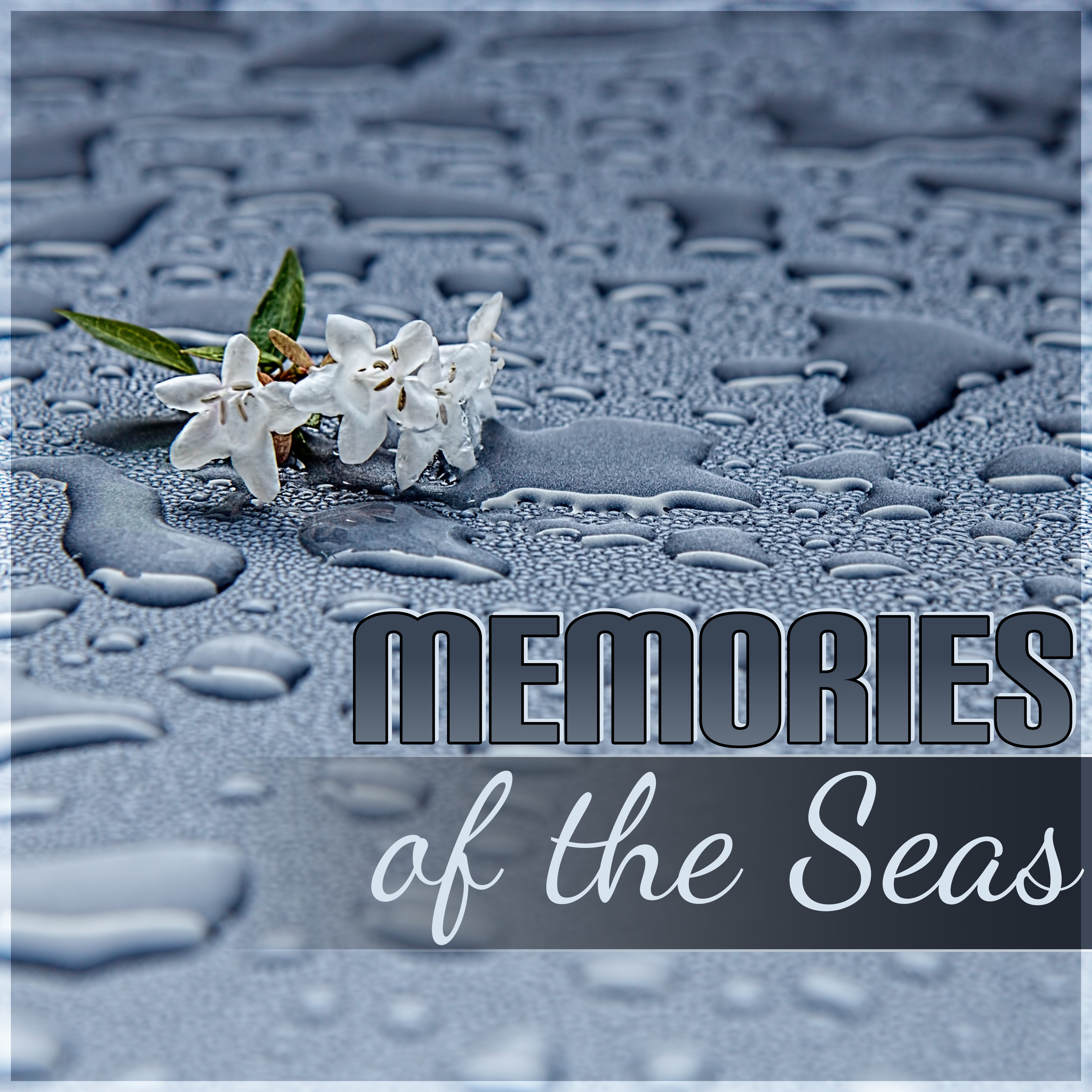 Memories of the Seas