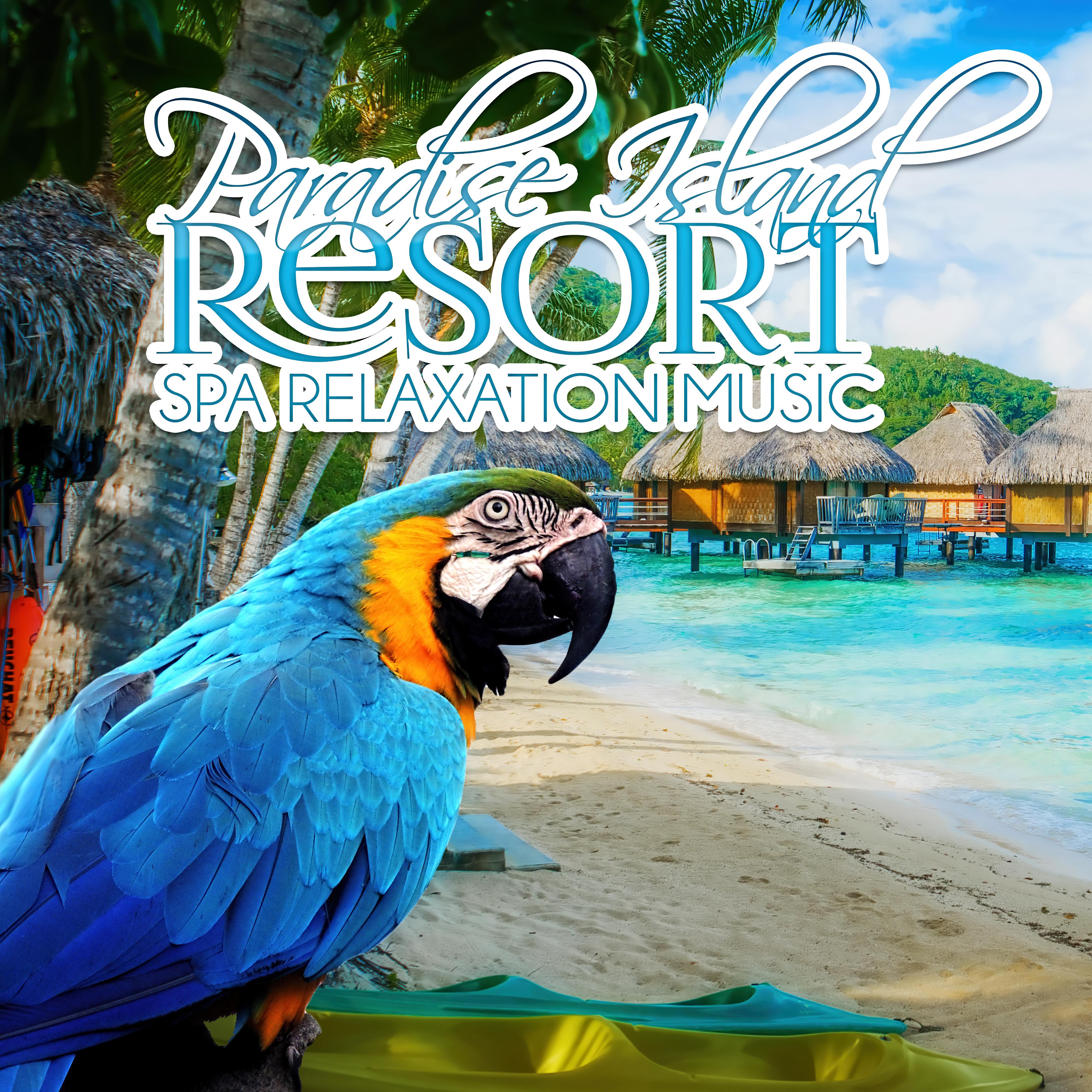 Paradise Island Resort Spa Relaxation Music – Spa Music, World Islands, Sea, Ocean Waves, Nature