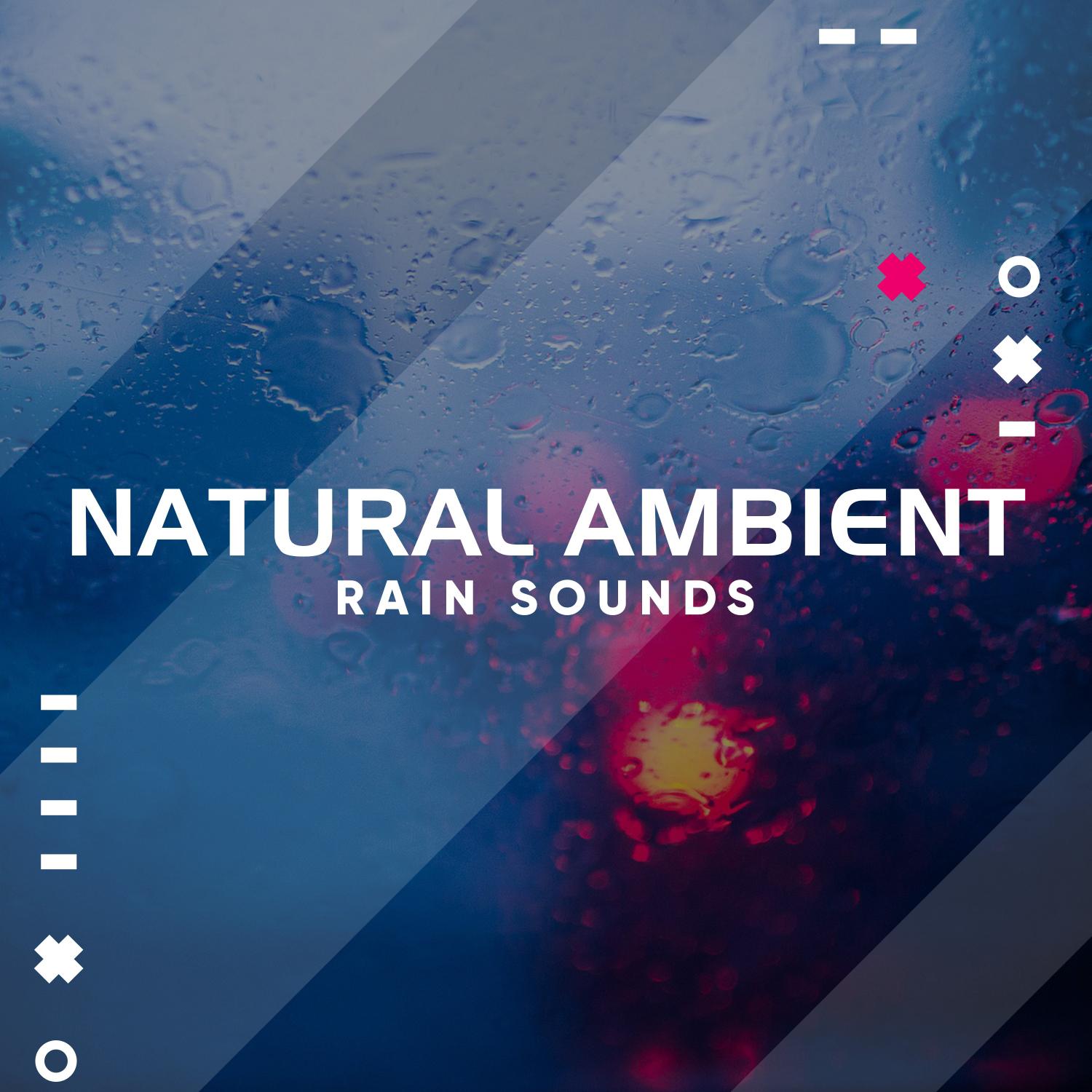 12 Natural Ambient Rain Tracks - Great White Noise for Sleep