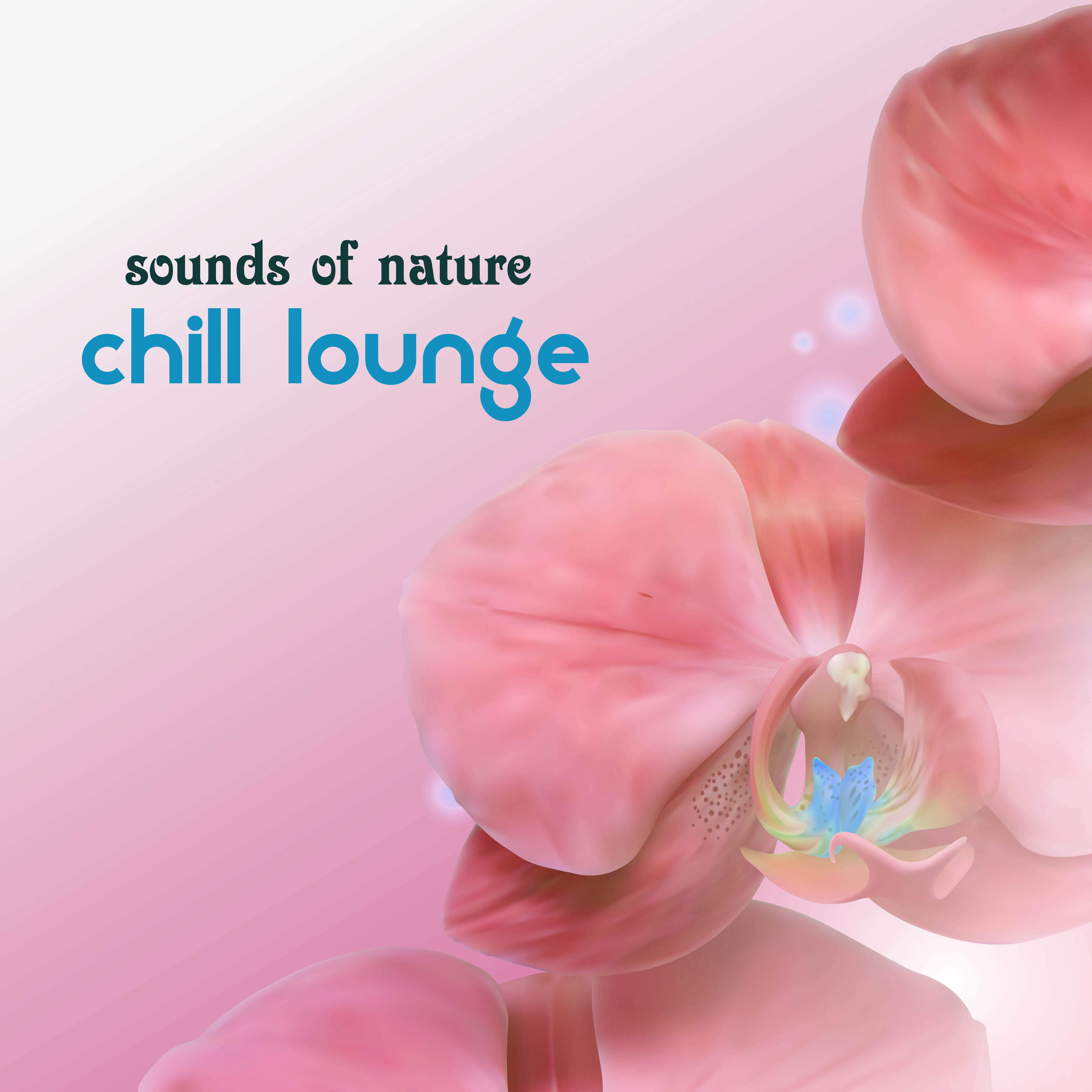 Sounds of Nature Chill Lounge - Relax Songs