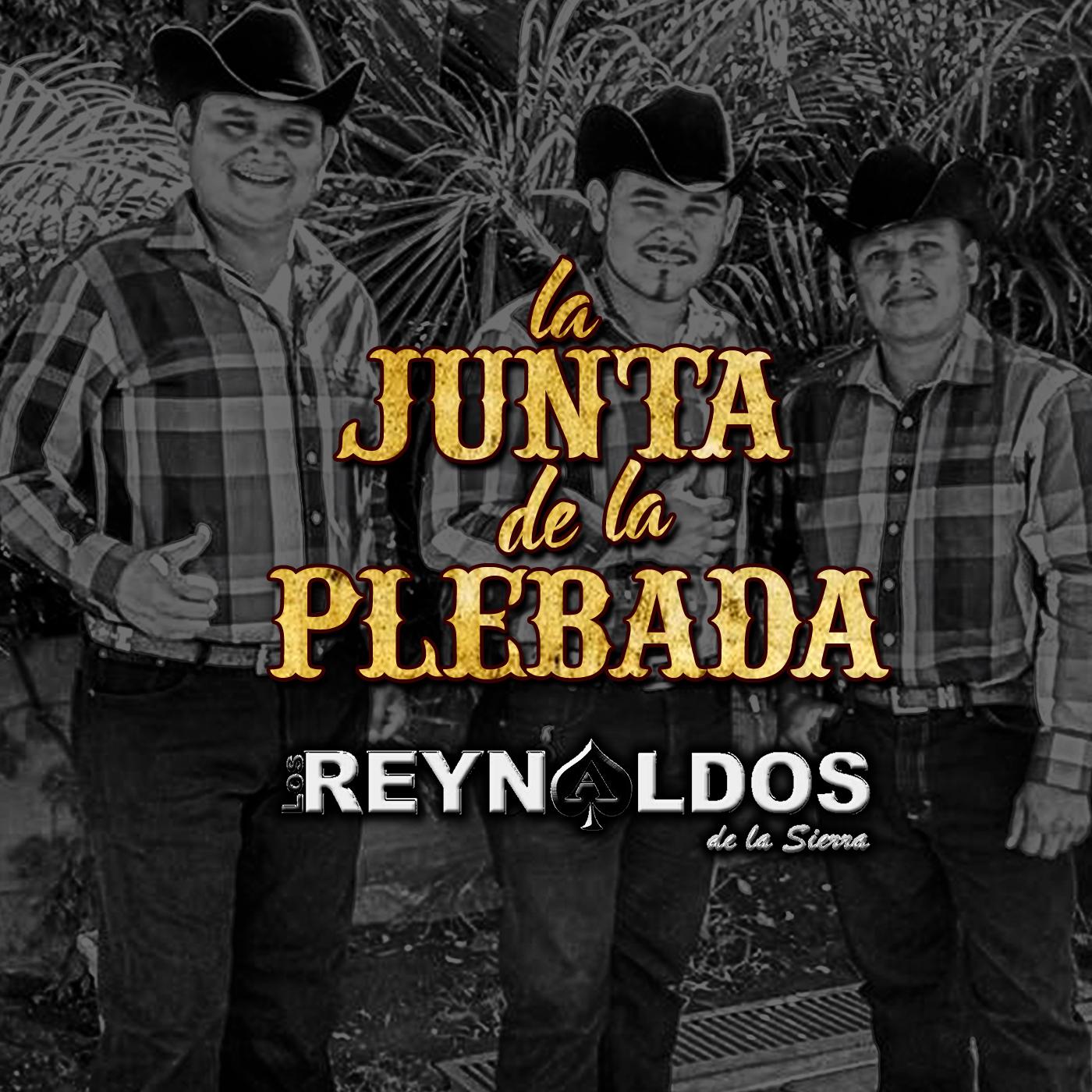 La Junta de la Plebada