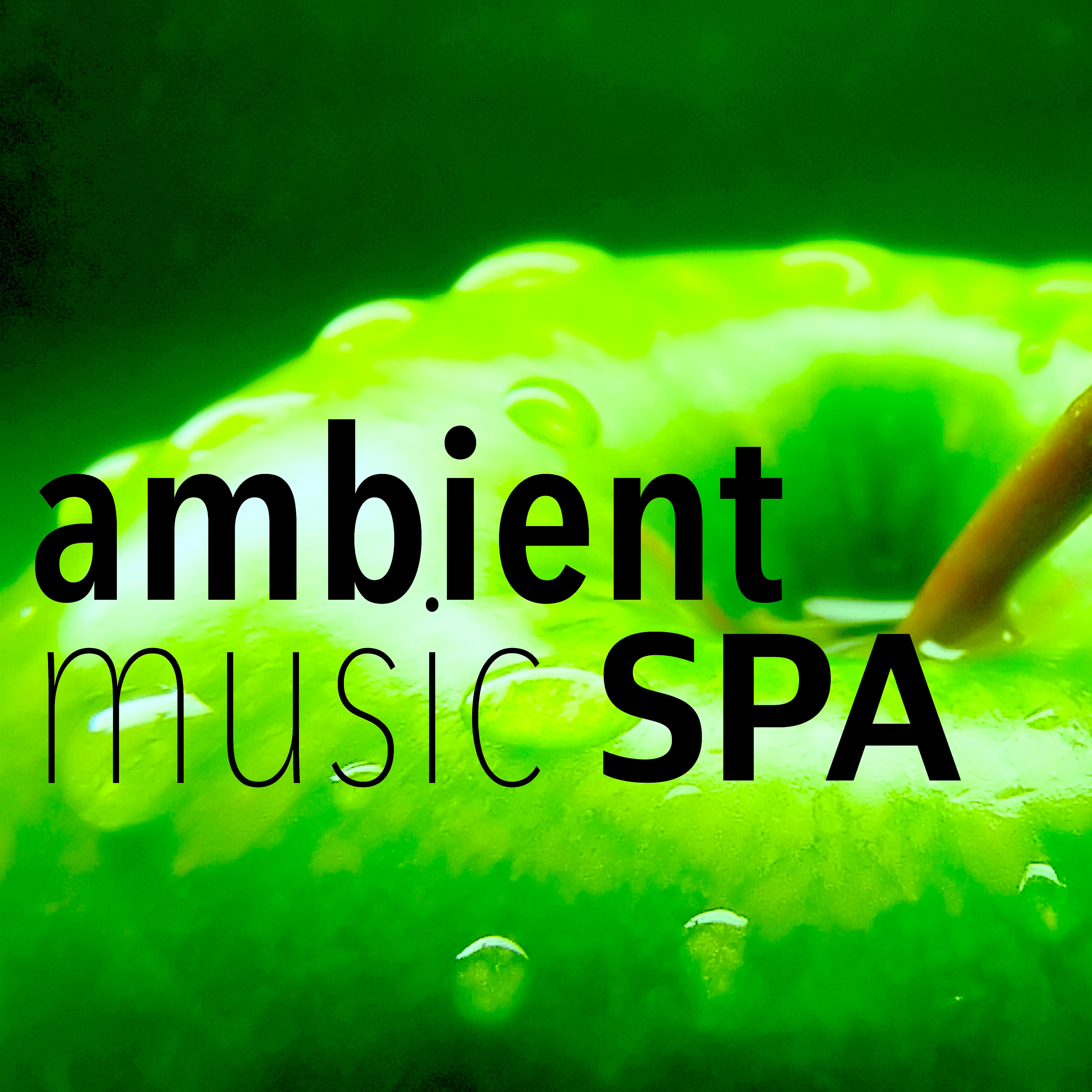 Ambient Music Spa - Collection 2016: Spa Background for Massage, Detox Sauna, Relaxation and Meditation, Chillout & Chillax for Relax and Drink Green Tea