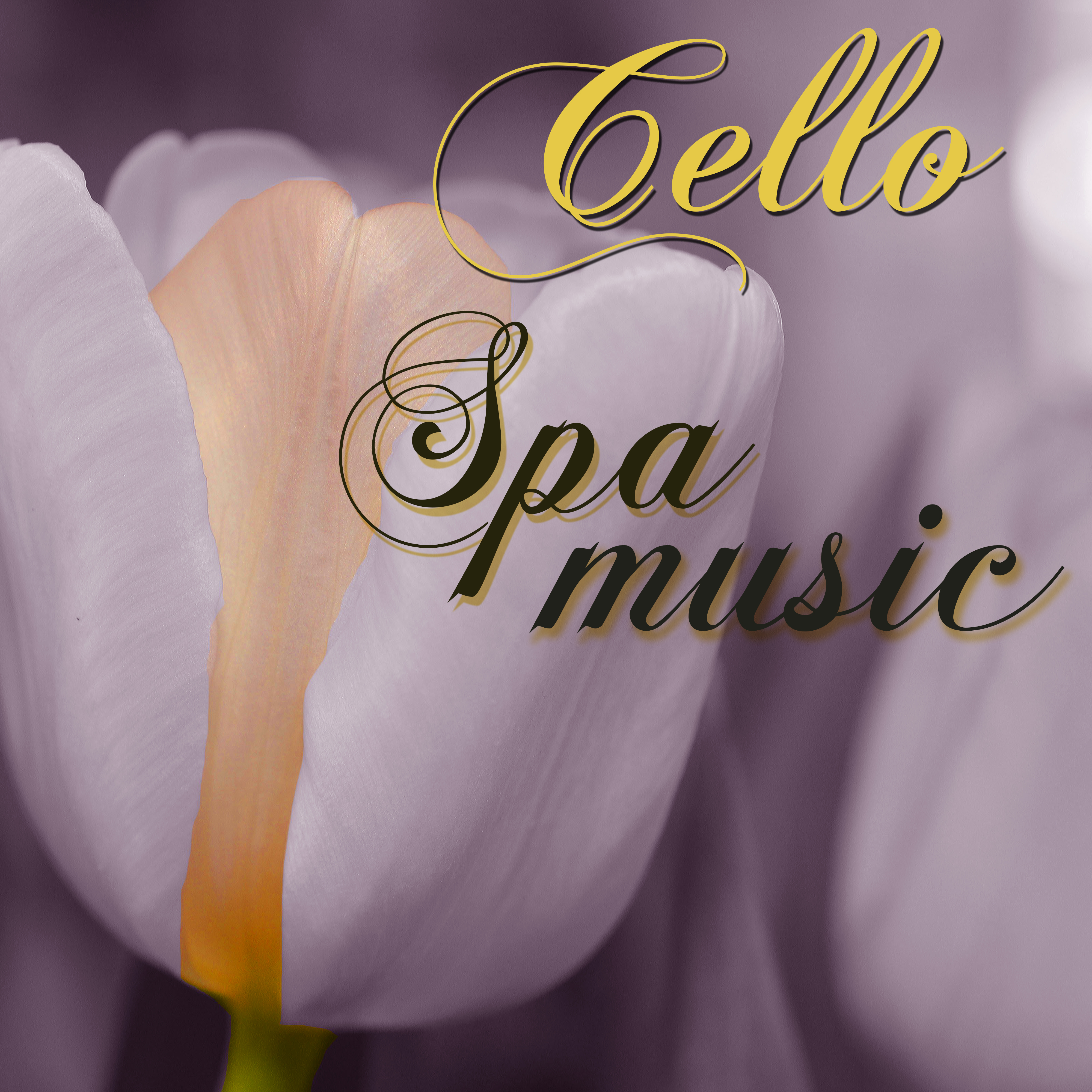Cello Spa Music – Soothing Spa Sounds for Massage & Healthy Body Wellness Center