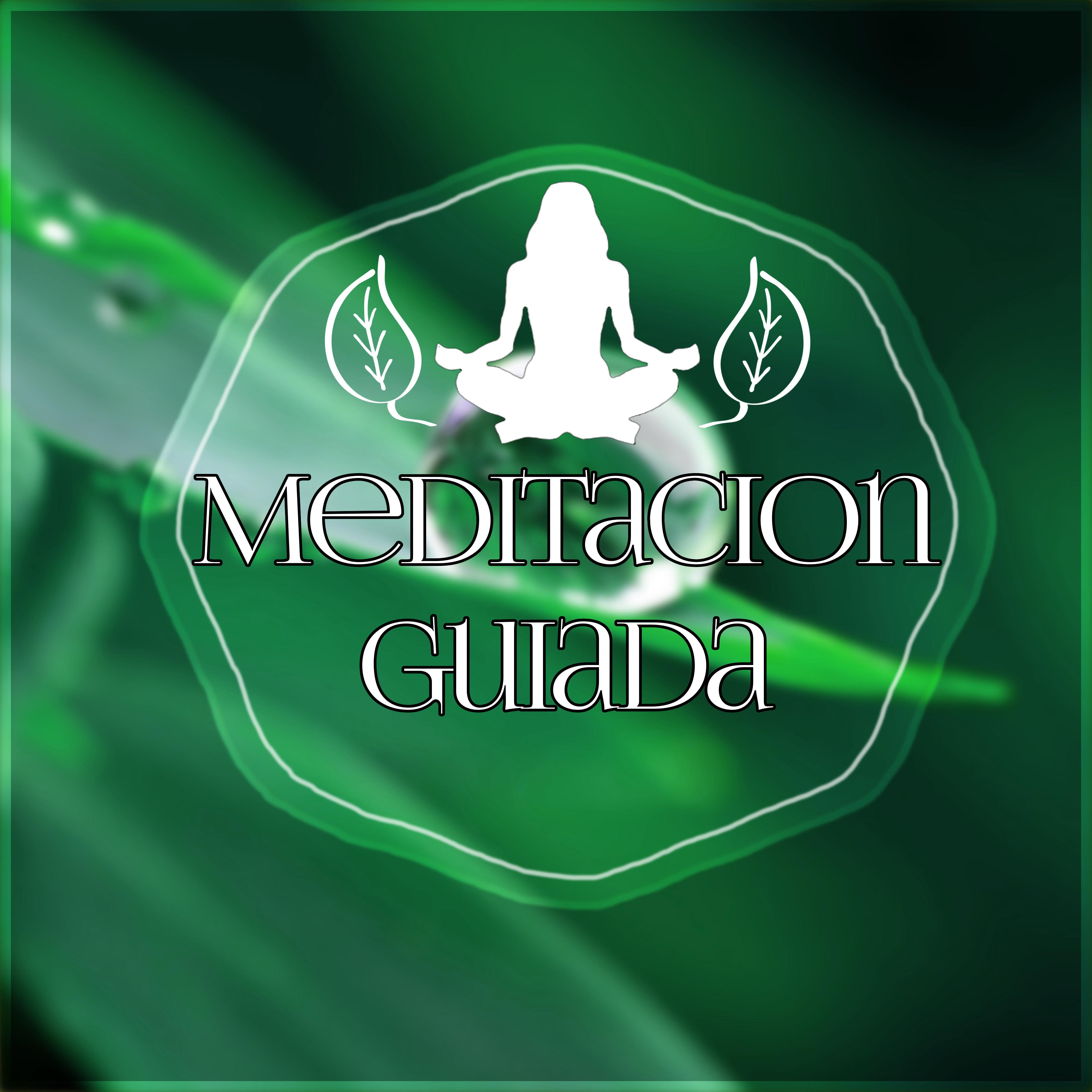 Meditacion Guiada – Canciones para Relajarse y Meditar, Musica New Age de Reiki & para Meditacion, Musica de Fondo