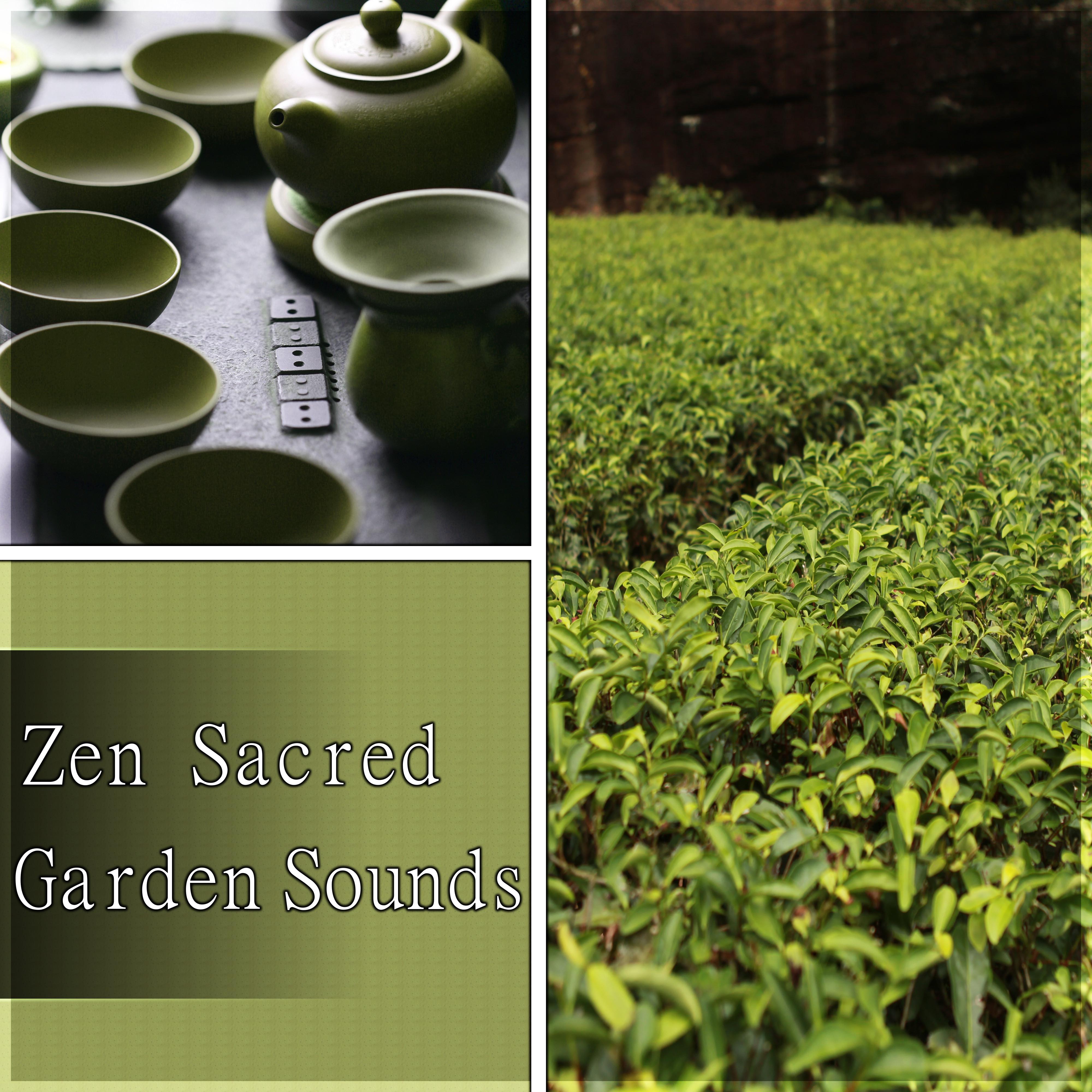 Zen Sacred Garden Sounds - Meditation, Yoga, Wellness, Relaxation, Healing, Beauty, Well Being