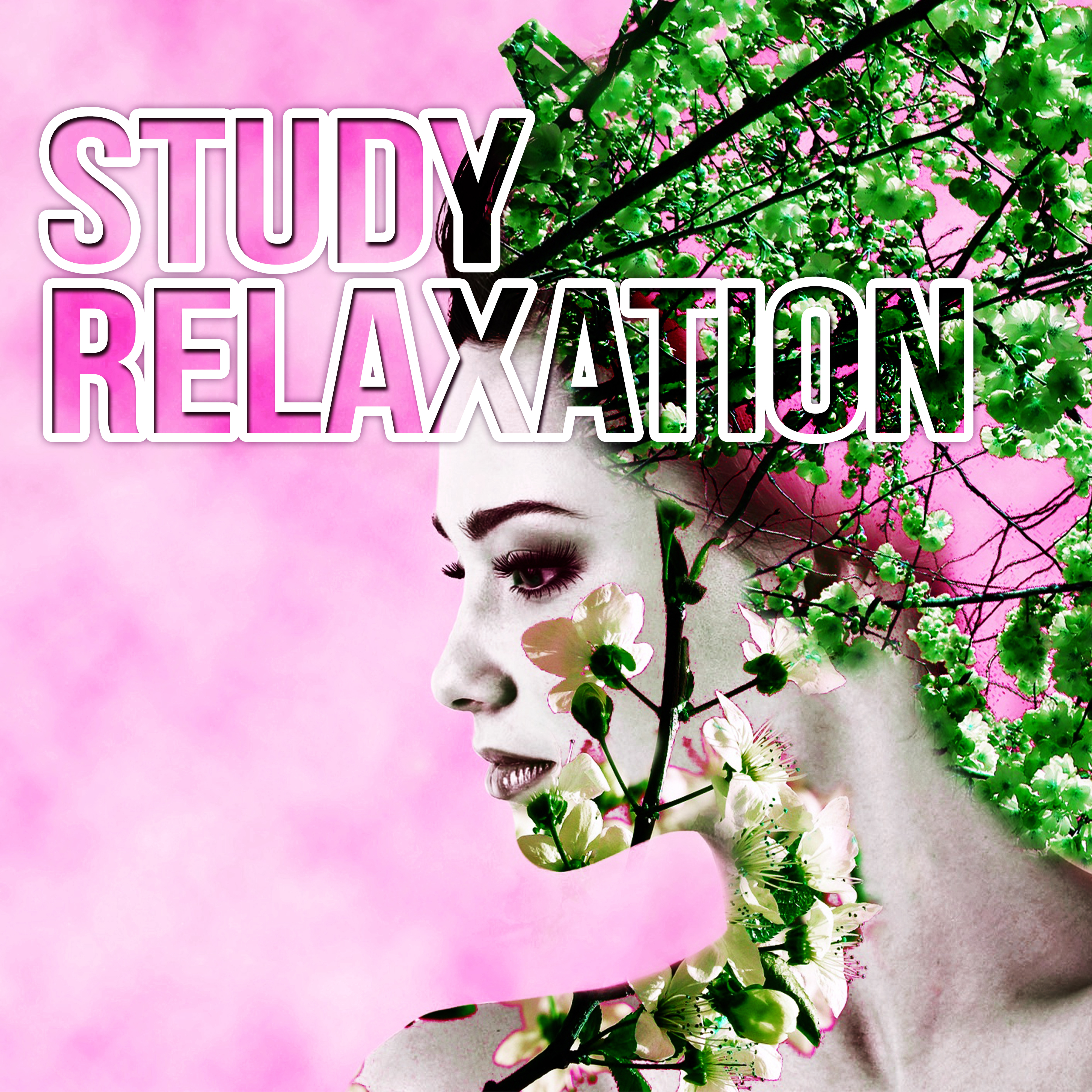 Study Relaxation - Music for Work, Music for the Classroom, Instrumental Study Music, Calming Music for Reading, Exam Study, Concentration, Classical Anti Stress Music for Studying and Focus