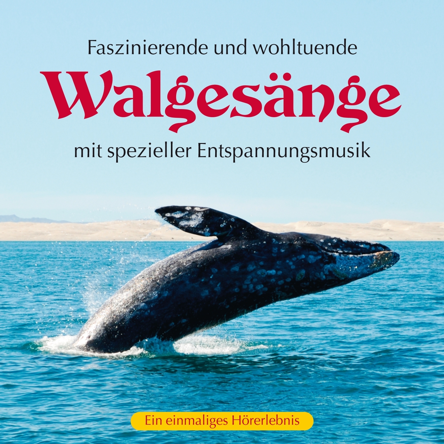 Die faszinierende Wanderschaft der Wale, Pt.2