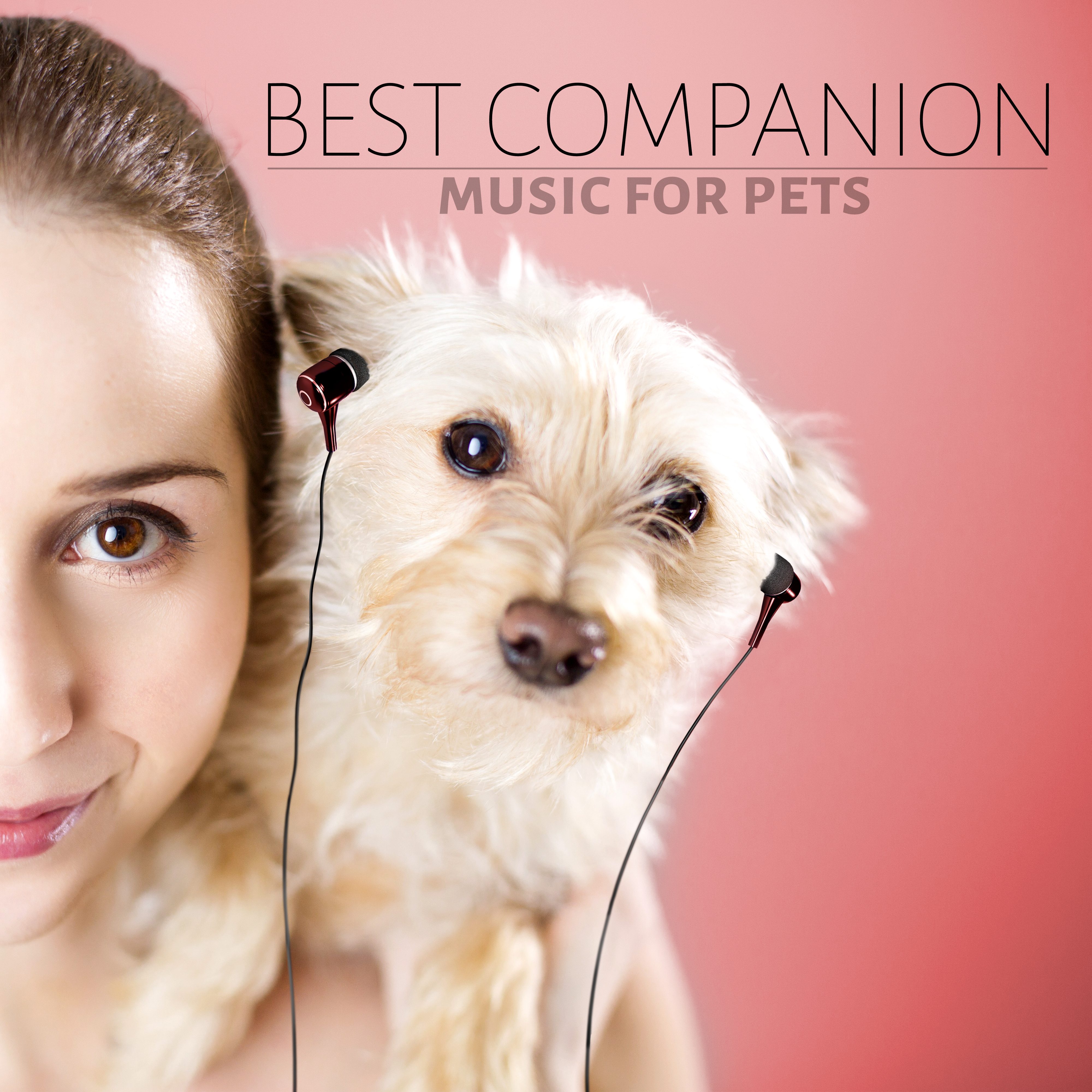 Best Companion, Music for Pets - Nature Sounds for Dogs & Cats, Relaxing Music for Dogs, Calm Down Your Animal Companion