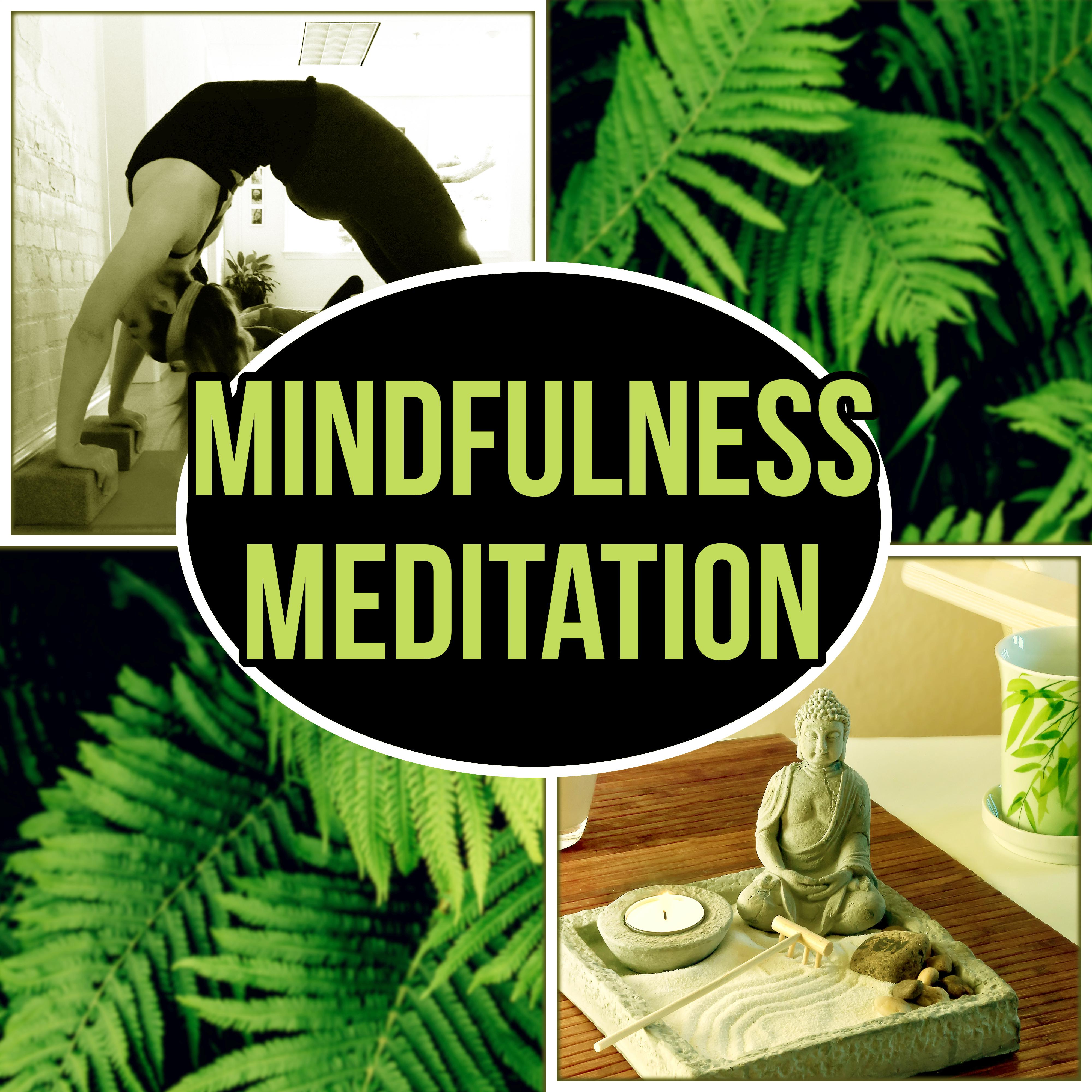Mindfulness Meditation – Zen Relaxation, Concentration, Yoga, Nature Sounds, Healing Music