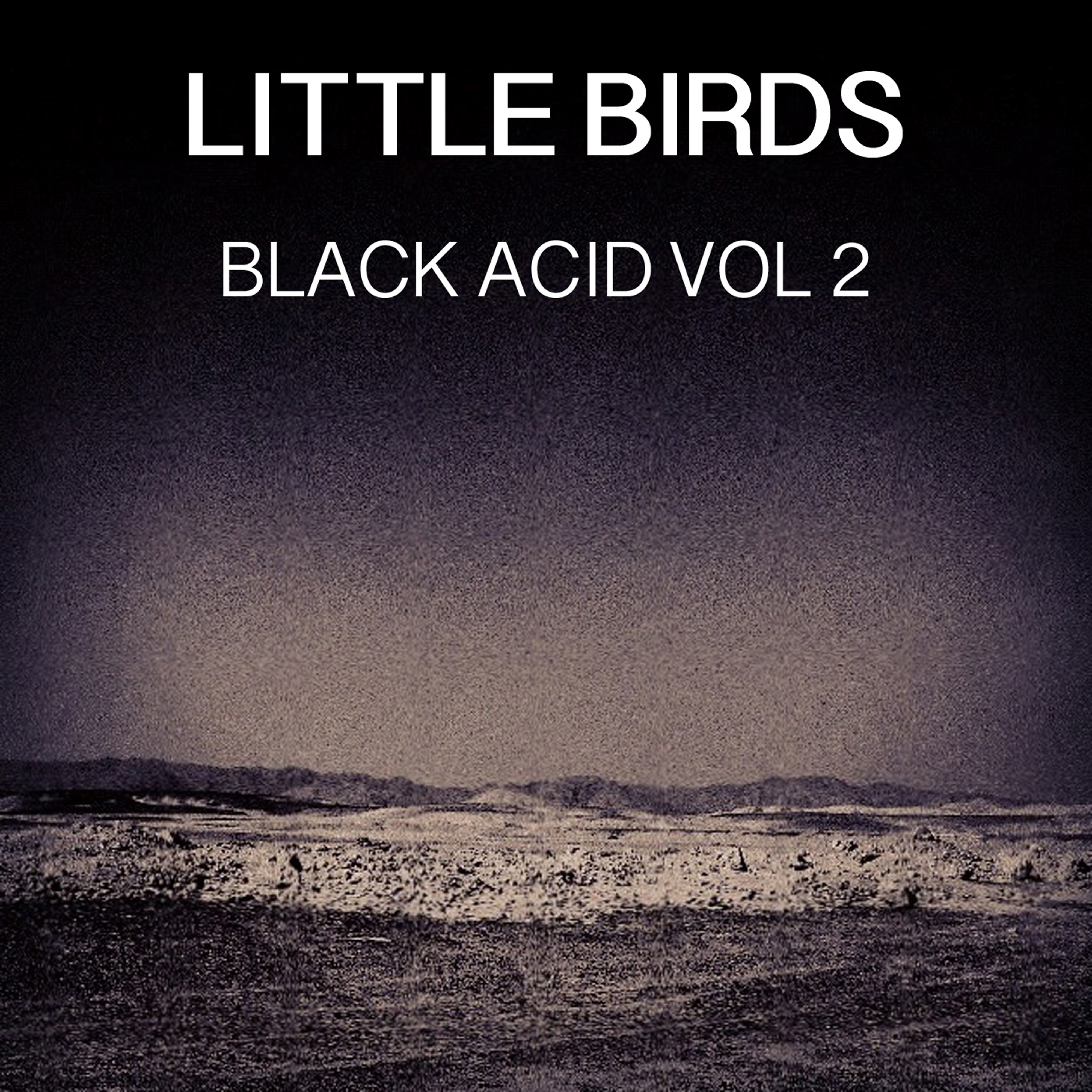 Black Acid, Vol. 2