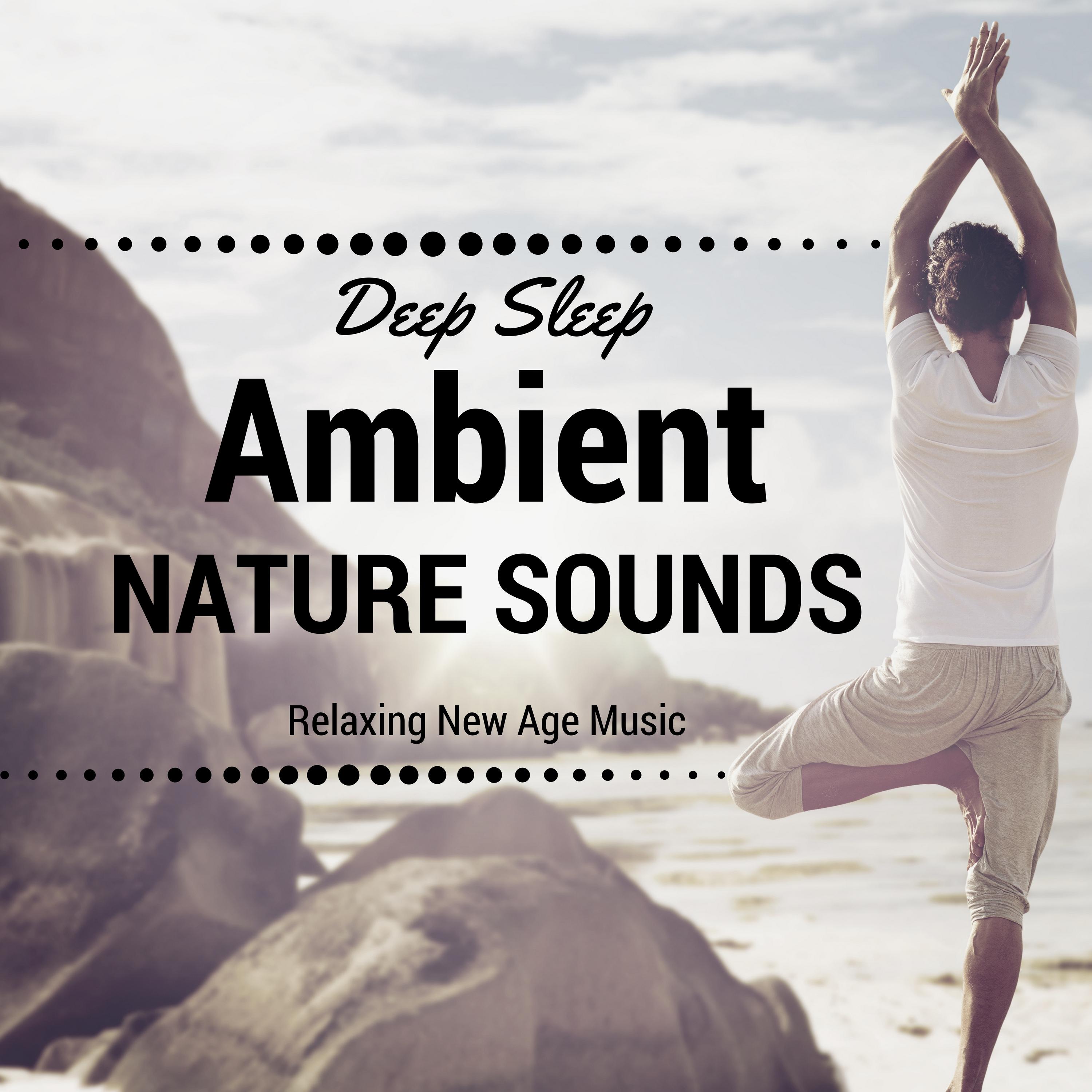 Ambient Nature Sounds - Relaxing New Age Music, Zen Music for Deep Sleep