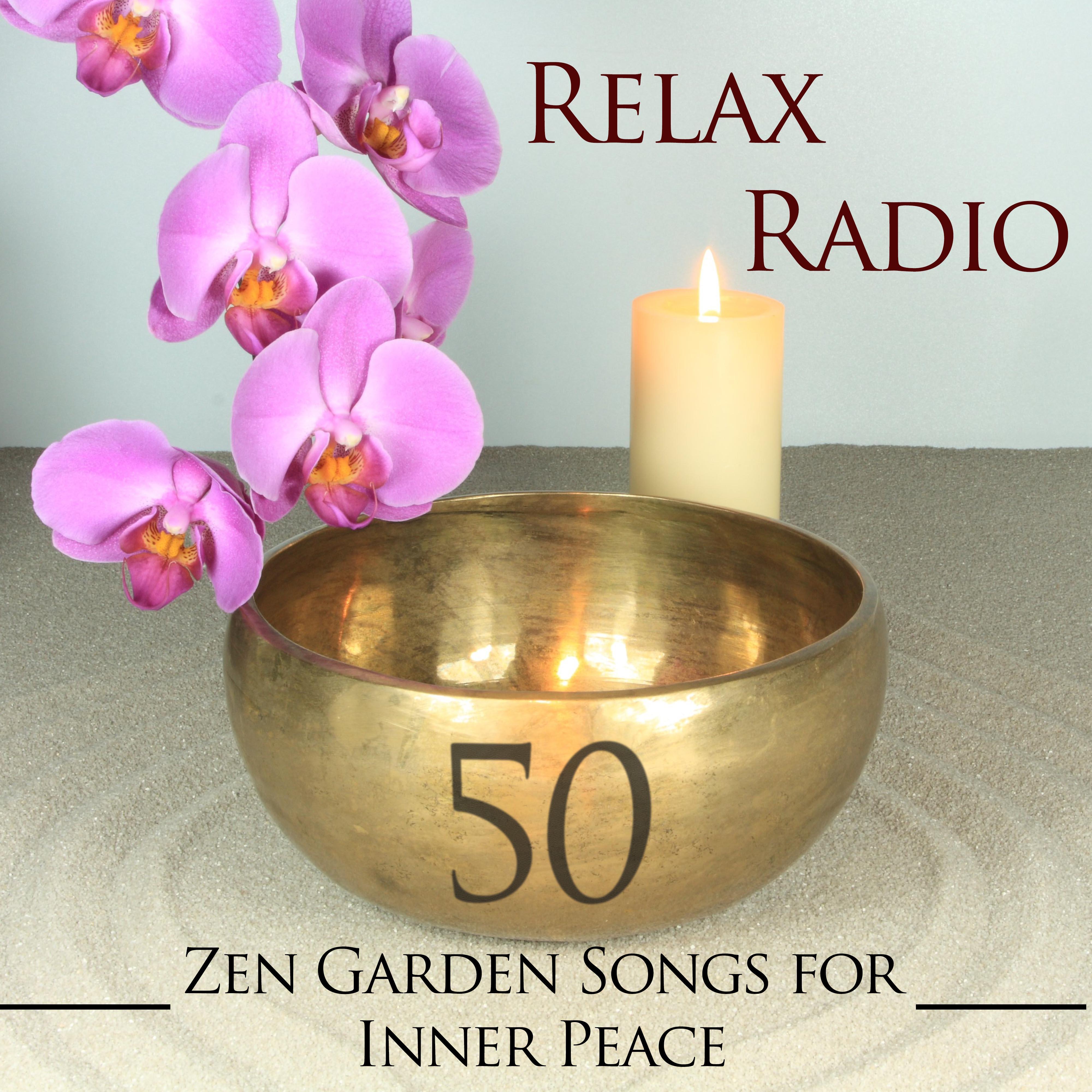 Meditation: Ambient Relax