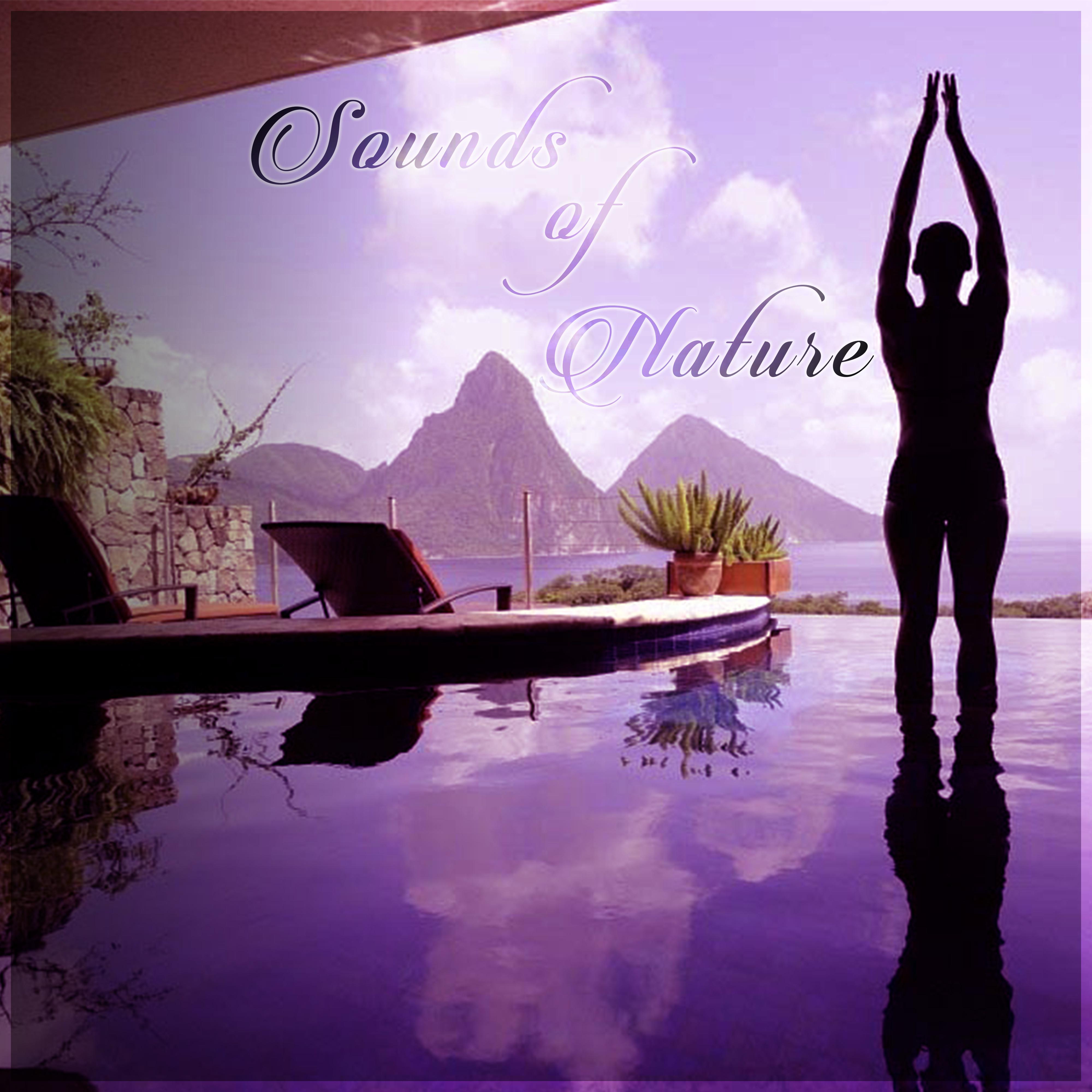 Sounds of Nature - Relaxing Nature Sounds to Calm Down, Natural Sleep Aids, Rain Sounds, White Noise for Deep Sleep