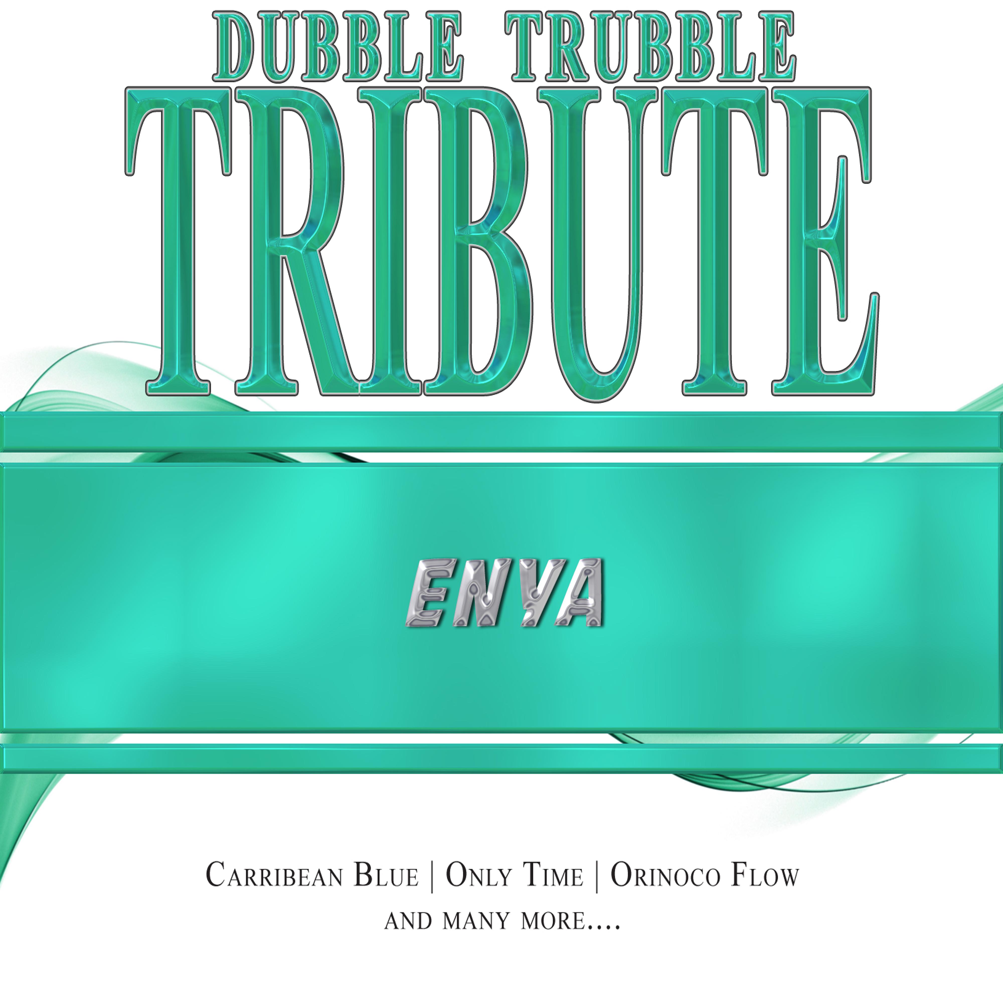 A Tribute To - Enya