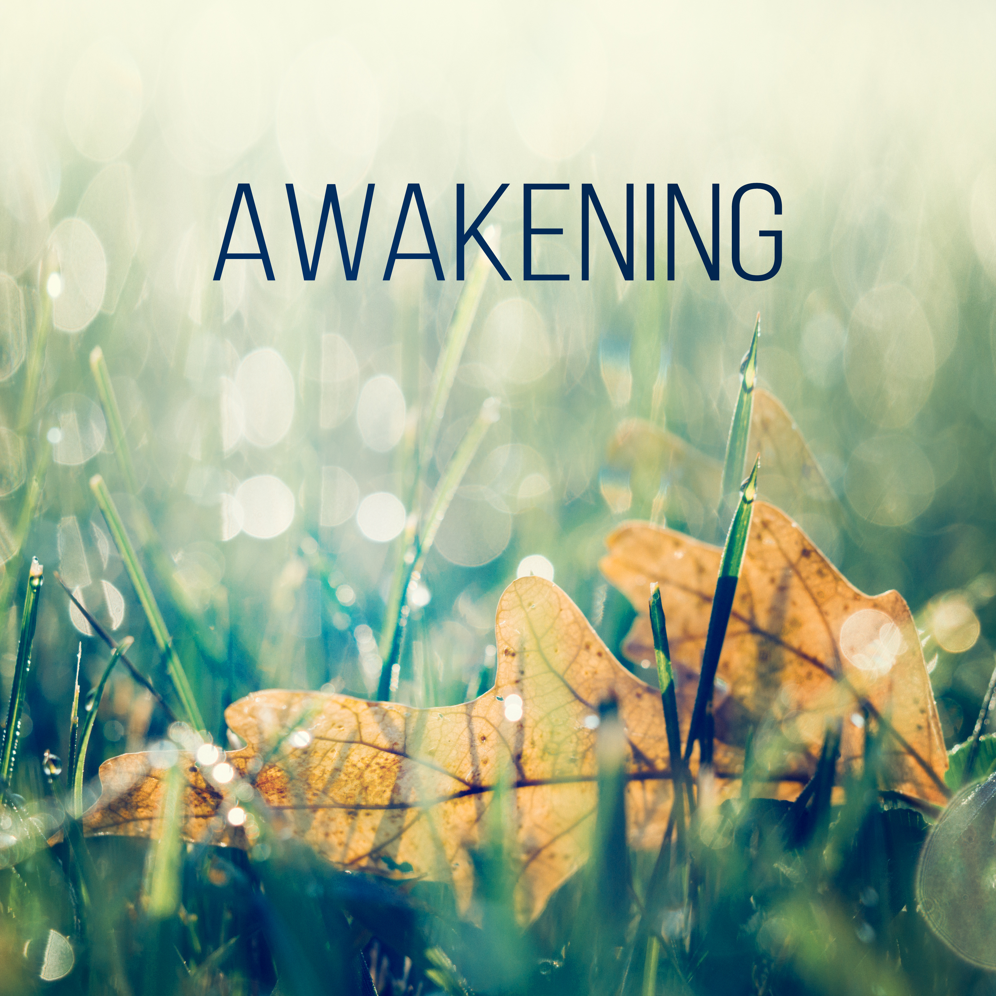Awakening – Yoga Music, Surya Namaskar, Asana Positions, Meditation and Relaxation Music, Welness and SPA