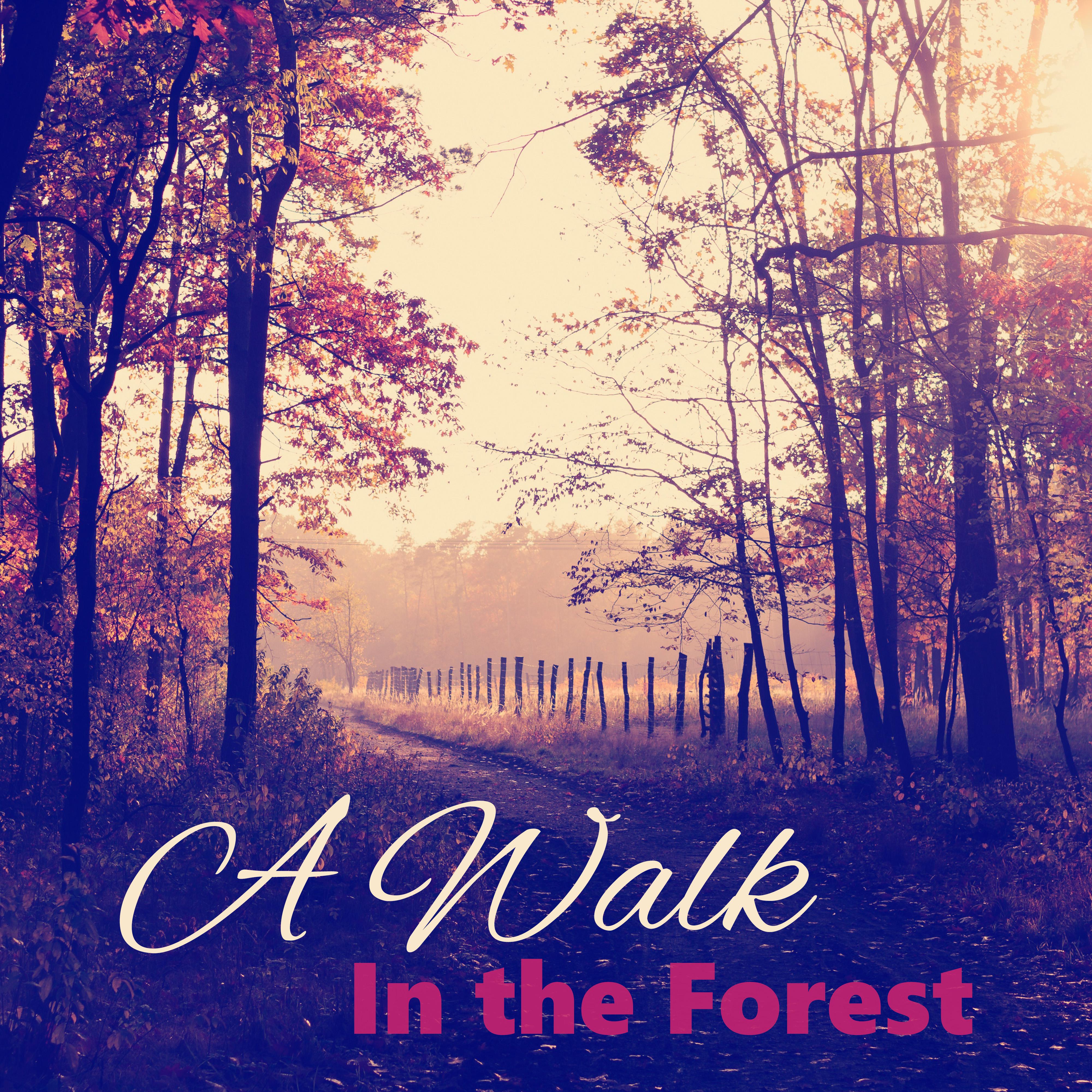 A Walk In the Forest - Piano Bar with Lounge Music, Stress Relief, Sleep Music to Help You Relax