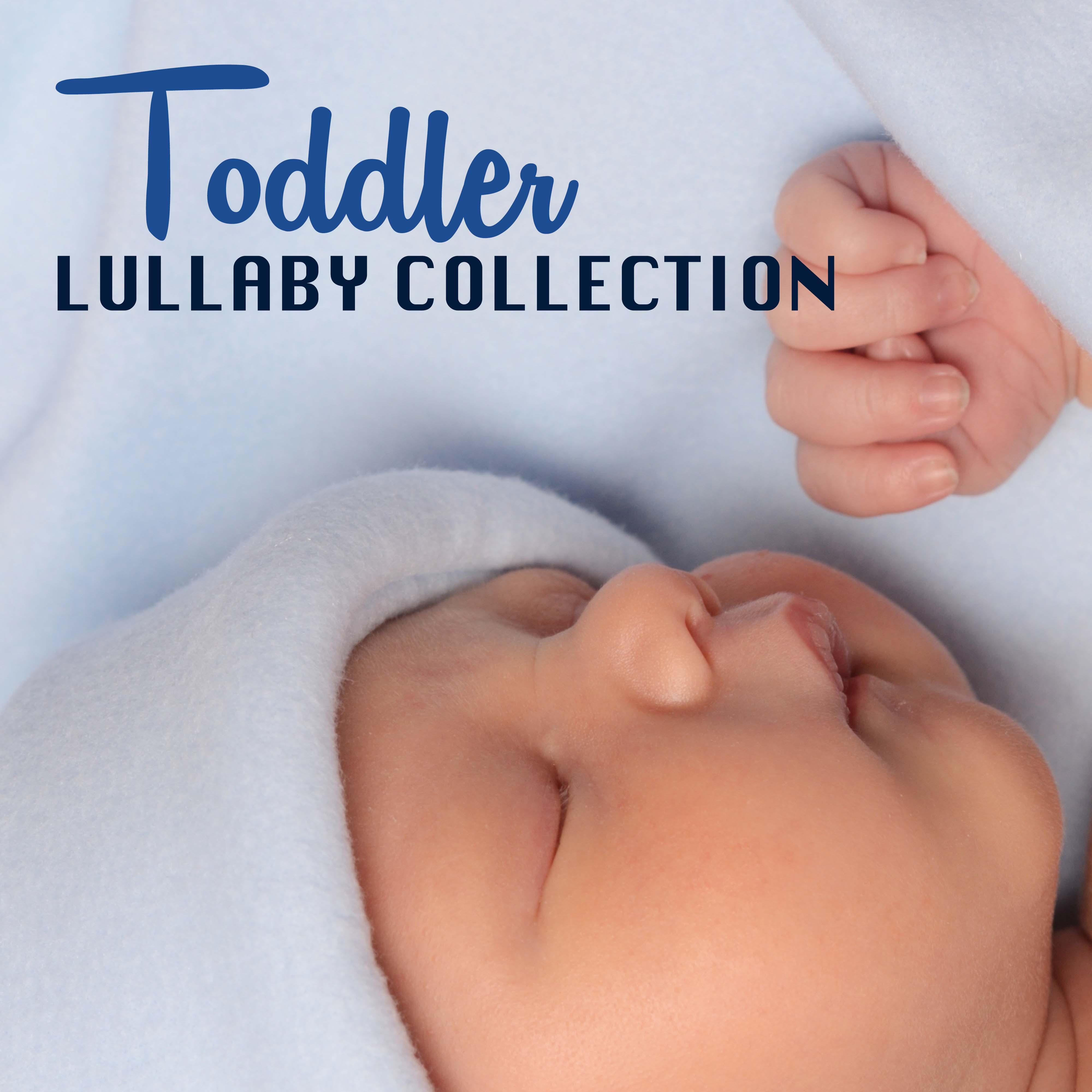 Toddler Lullaby Collection - Sounds of Nature