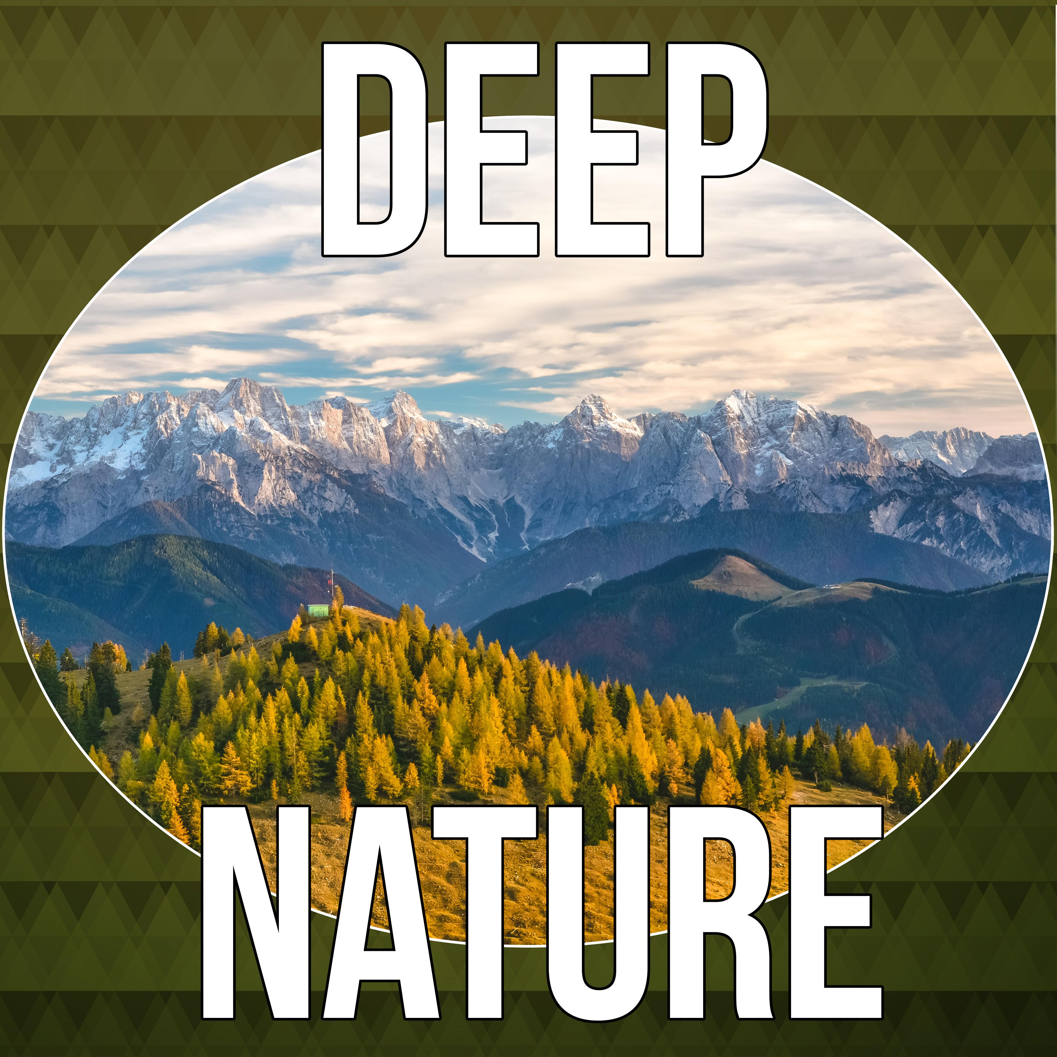 Deep Nature - Sounds of Nature, Relaxing Sounds, Soothing Music,  Relaxation, Massage Music Therapy, New Age, Natural Spa