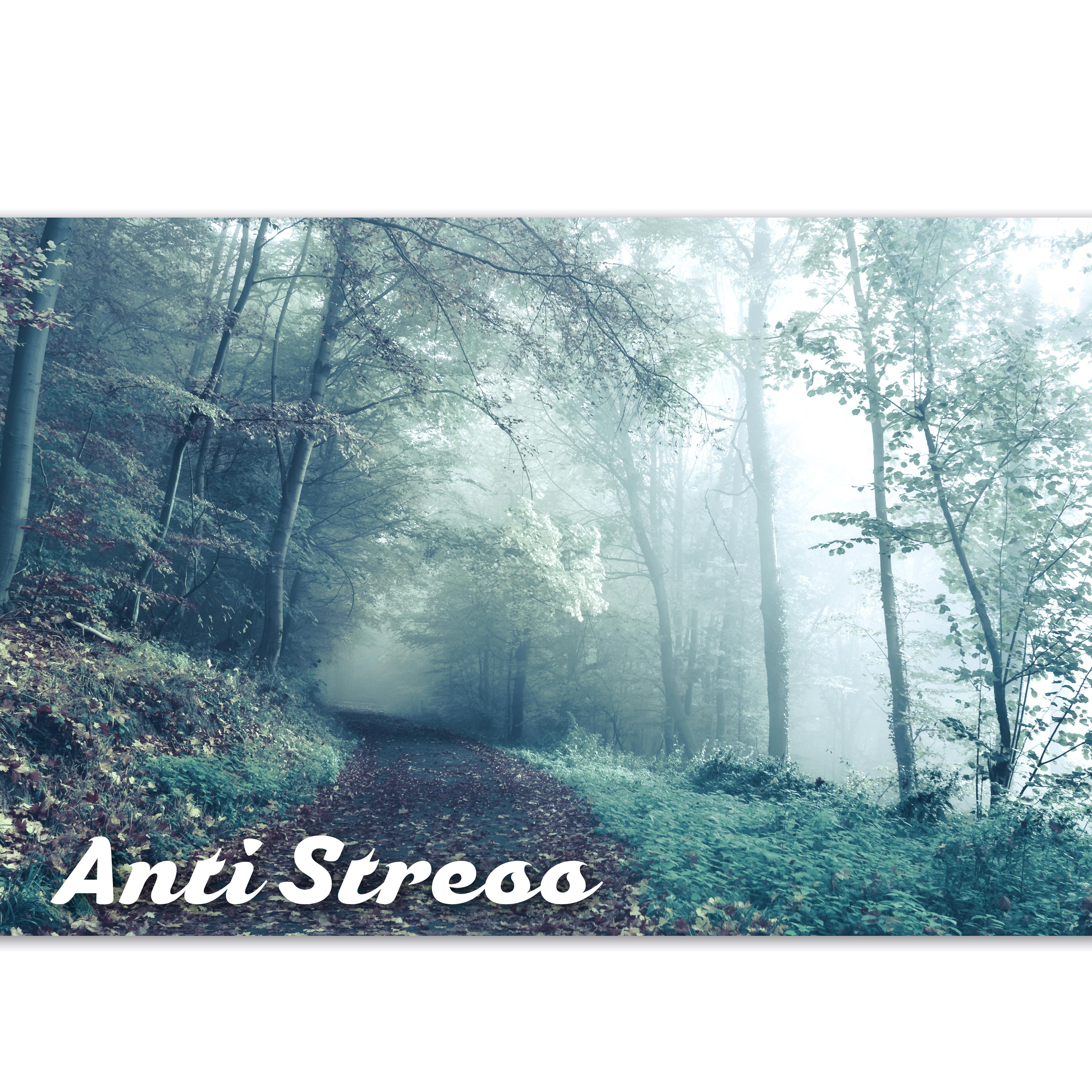 Anti Stress – Relaxing Songs for Mindfulness Meditation & Yoga Exercises, Guided Imagery Music, Asian Zen Spa and Massage, Natural White Noise, Sounds of Nature