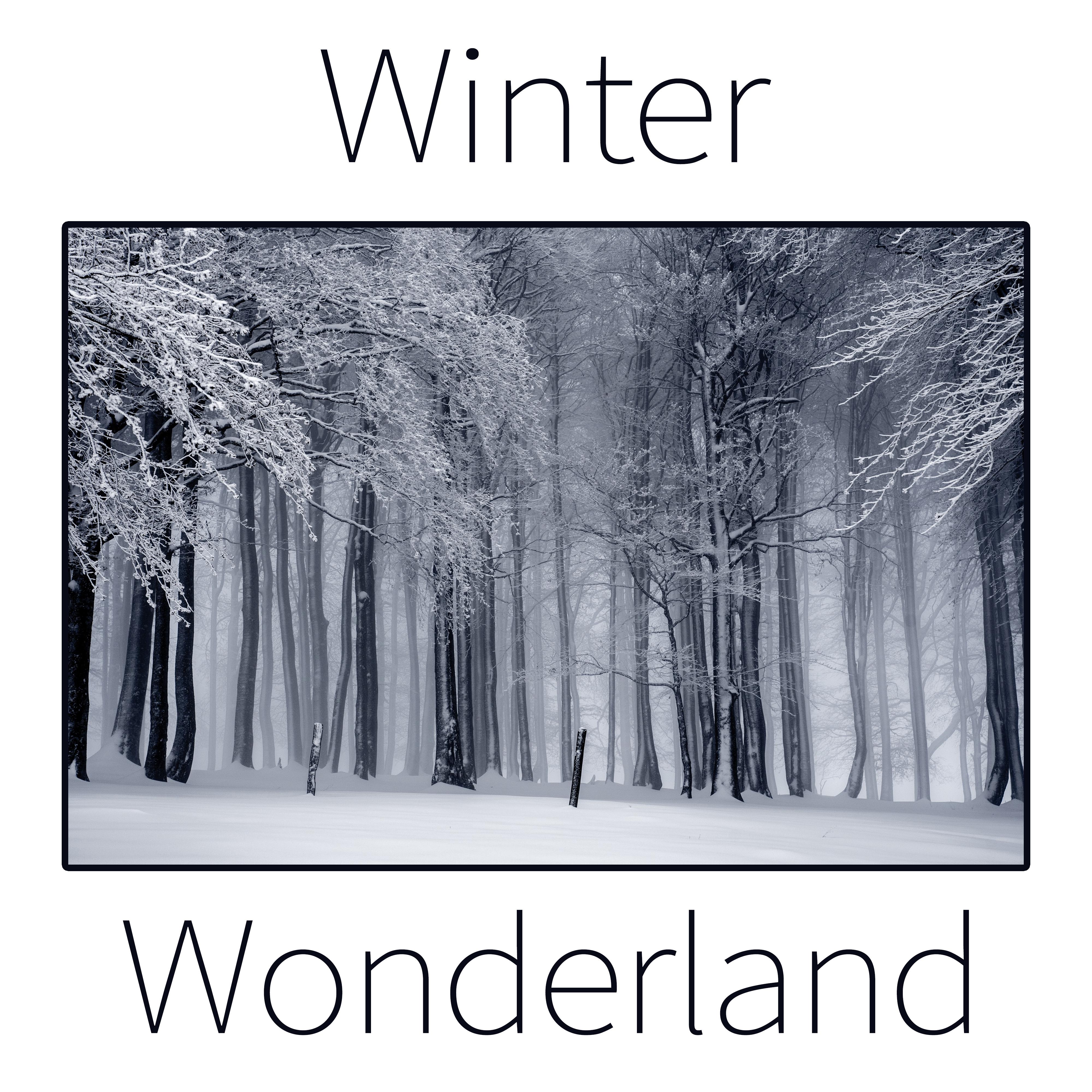 Winter Wonderland – Instrumental, Christmas Music, Traditional Carols, Christmas Songs, White Holiday with Family, Magical Atmosphere