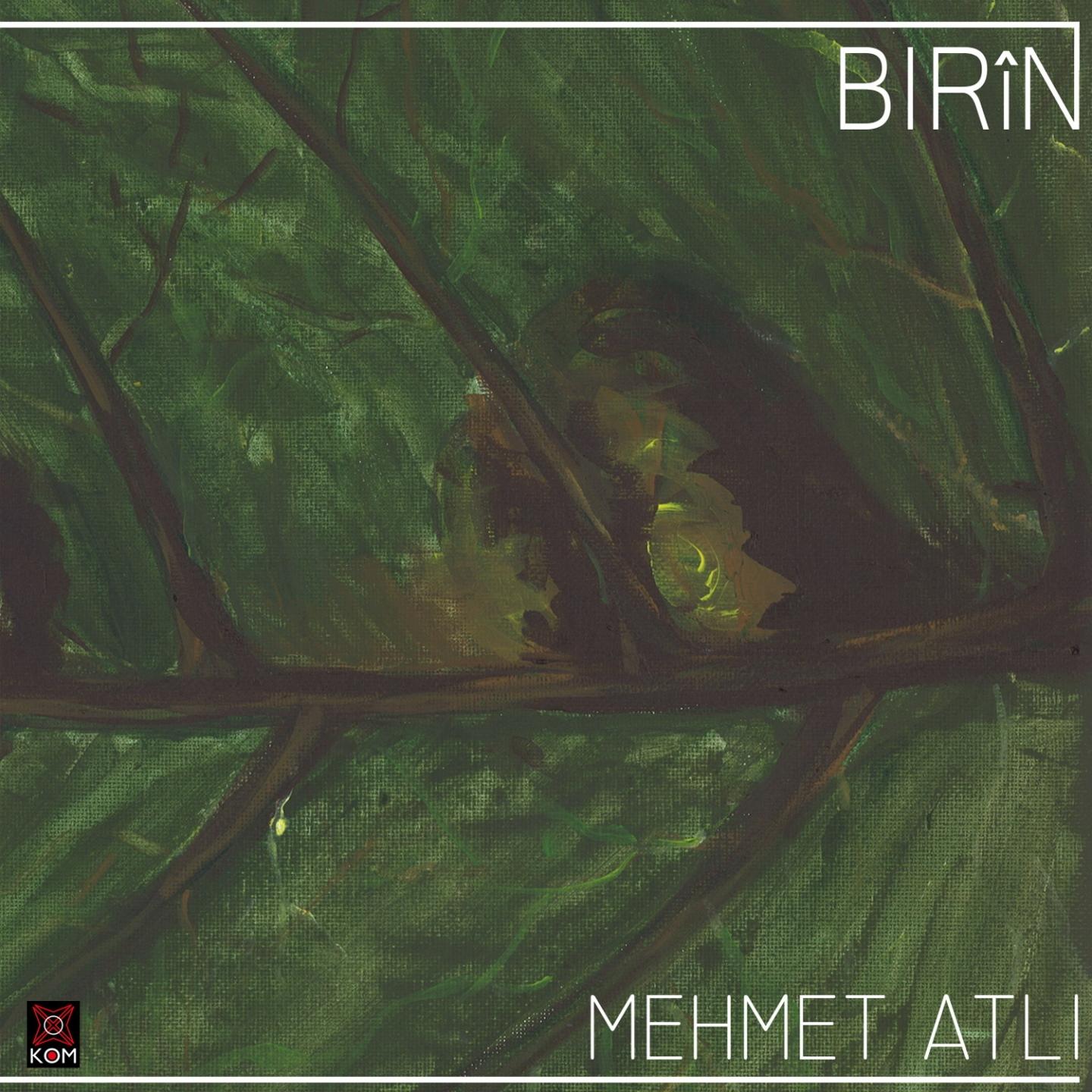 Birîn