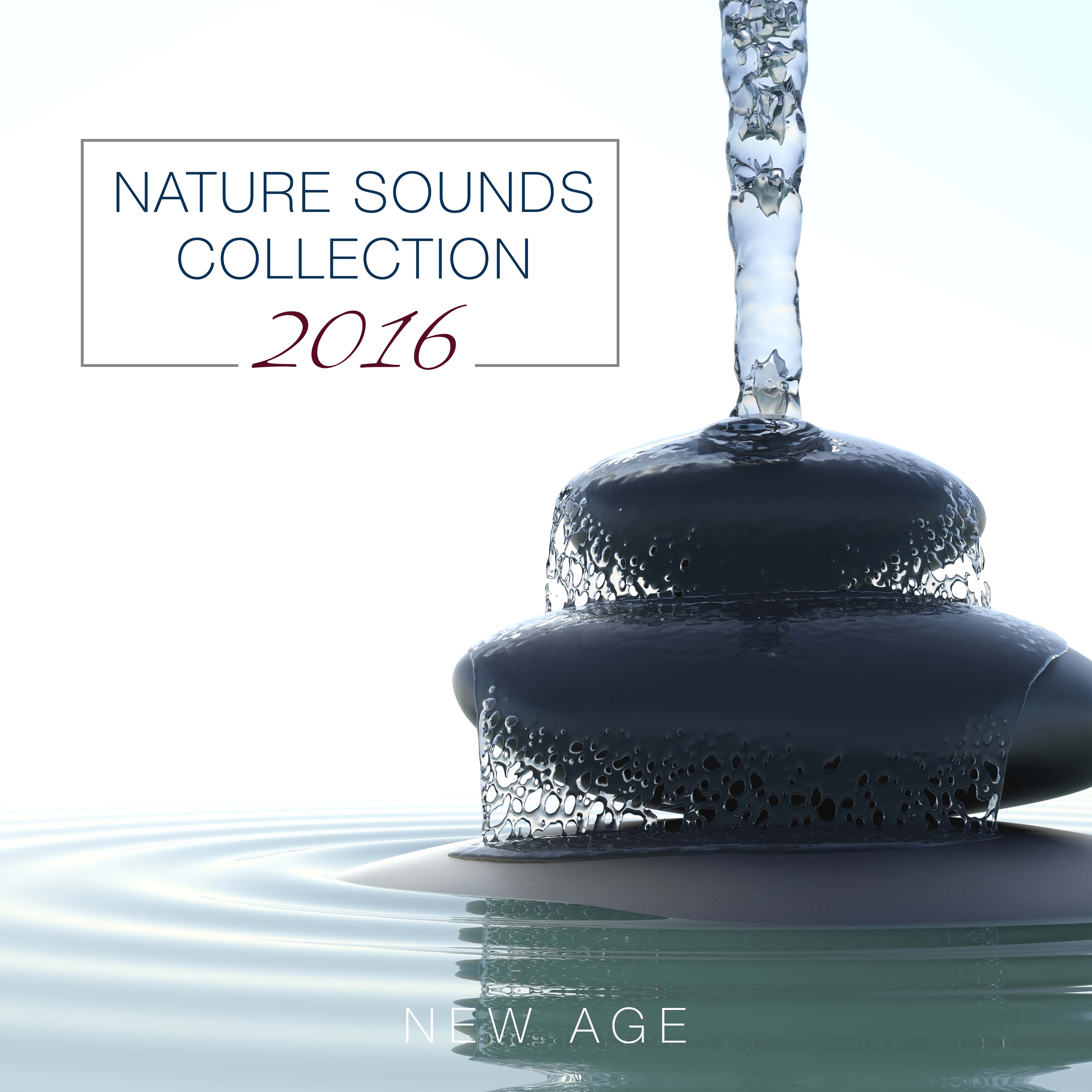 Nature Sounds Collection 2016