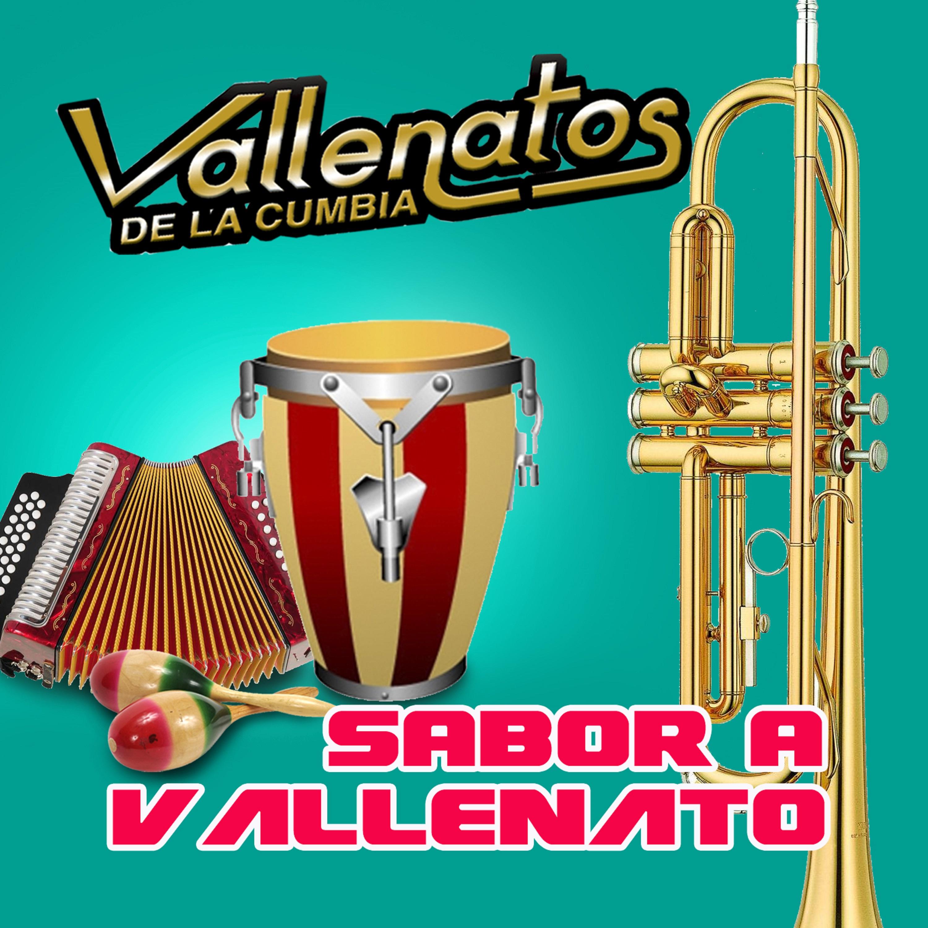 Sabor A Vallenato