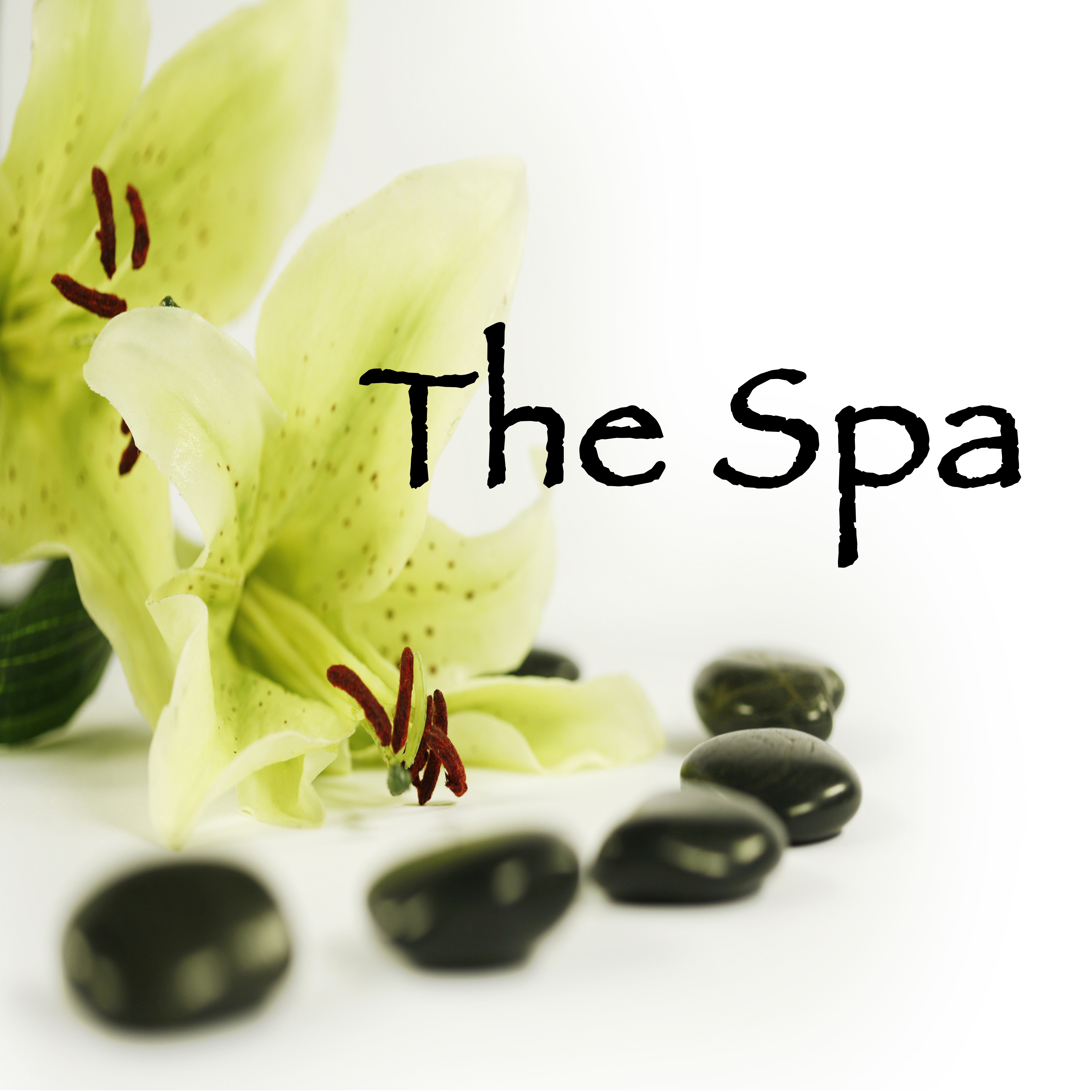 The Spa – Amazing Relax Music for Spa Treatments in Wellness Center & Spa Retreats