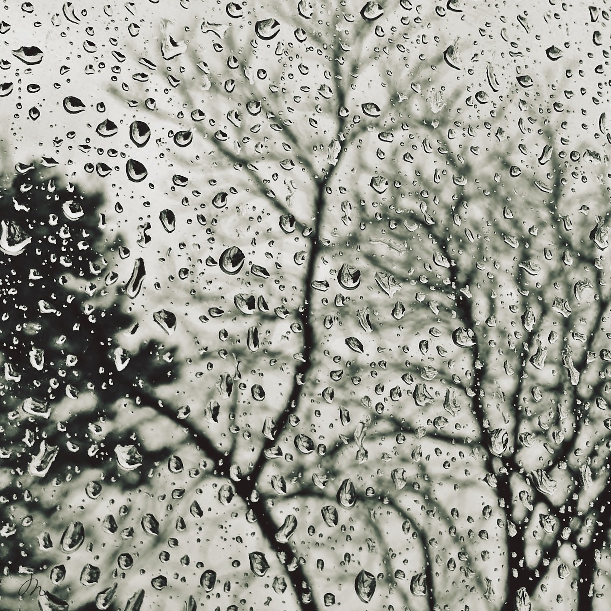 Seeing Rain Whispers