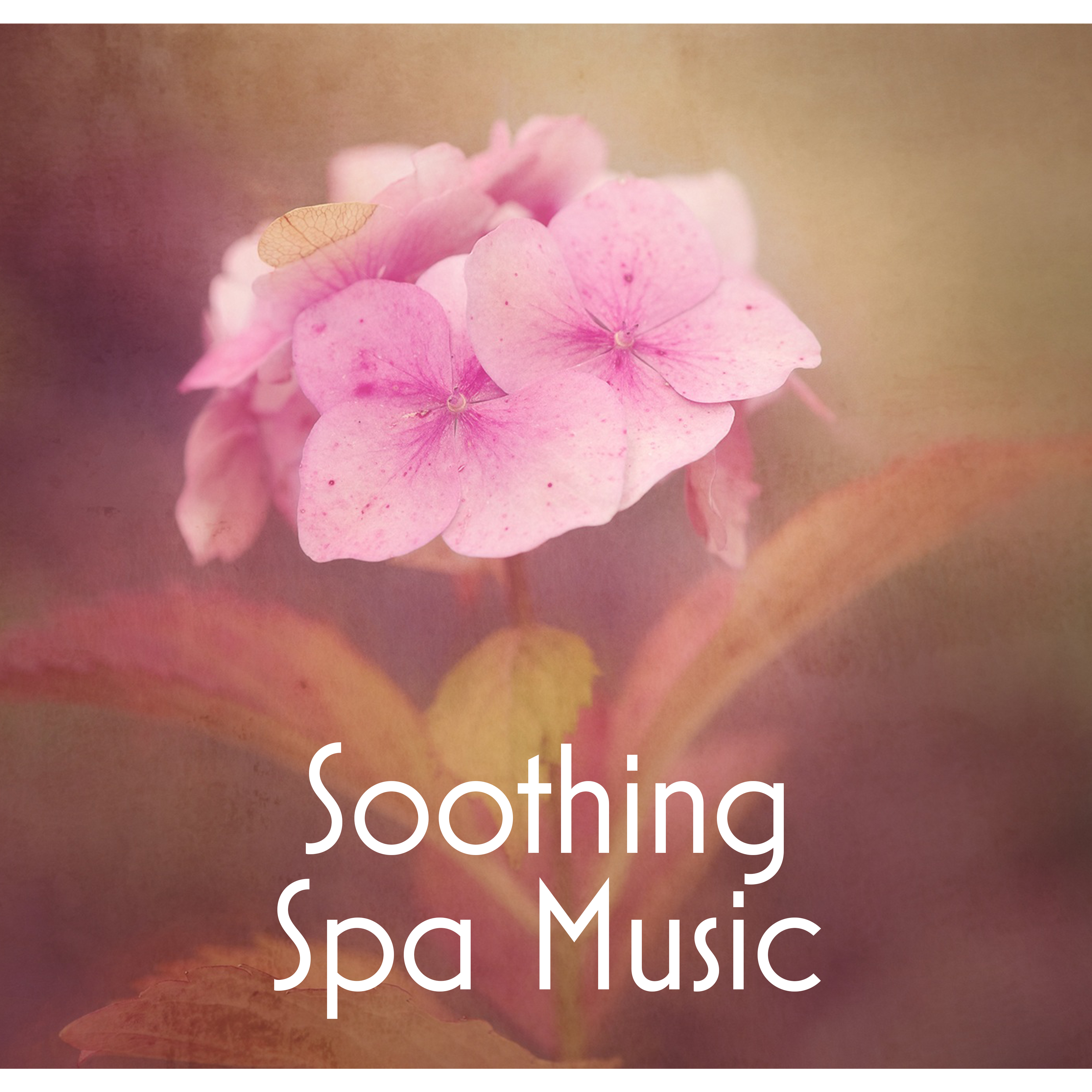 Soothing Spa Music – Nature Sounds for Spa, Massage, Music for Wellness Hotel, Instrumental Songs for Pure Relaxation