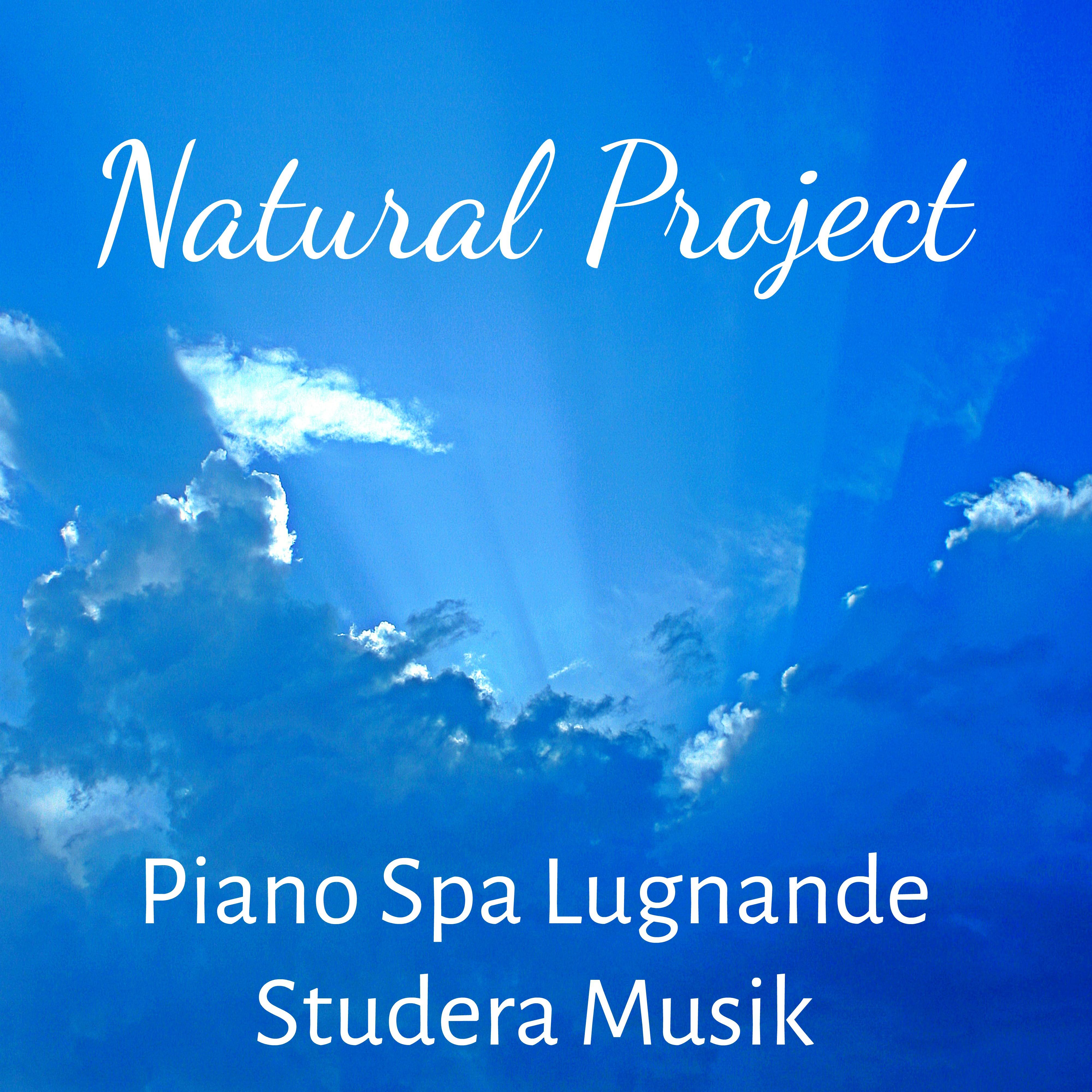 Natural Project - Piano Spa Lugnande Studera Musik för Djup Sömn Yogaövningar med Hälsa Mental Övning Mjuk Natur Ljud