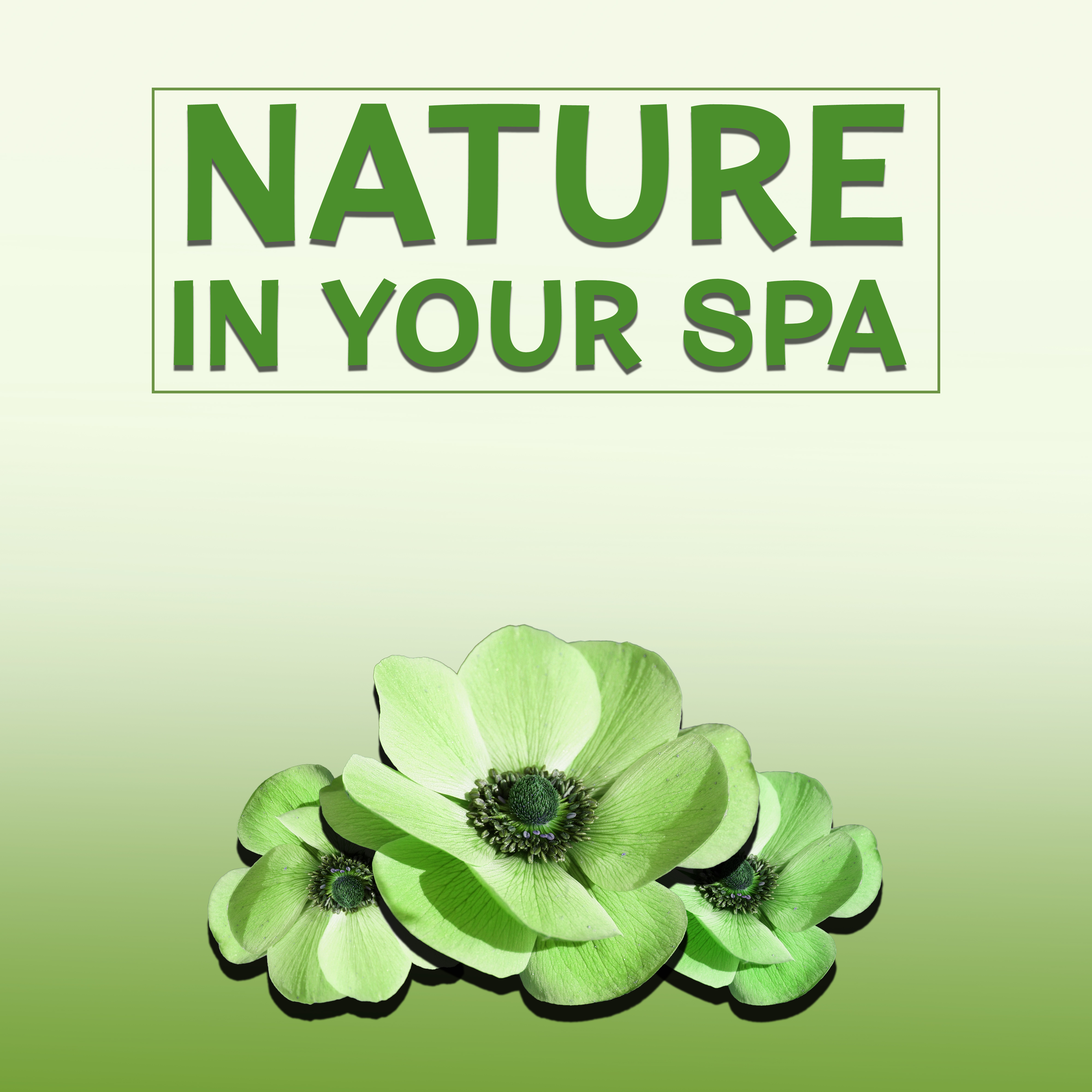 Nature in Your Spa – Relaxation Wellness, Peaceful Music for Massage, Spa, Soothing Piano, Nature Sounds to Rest, Spa Dreams