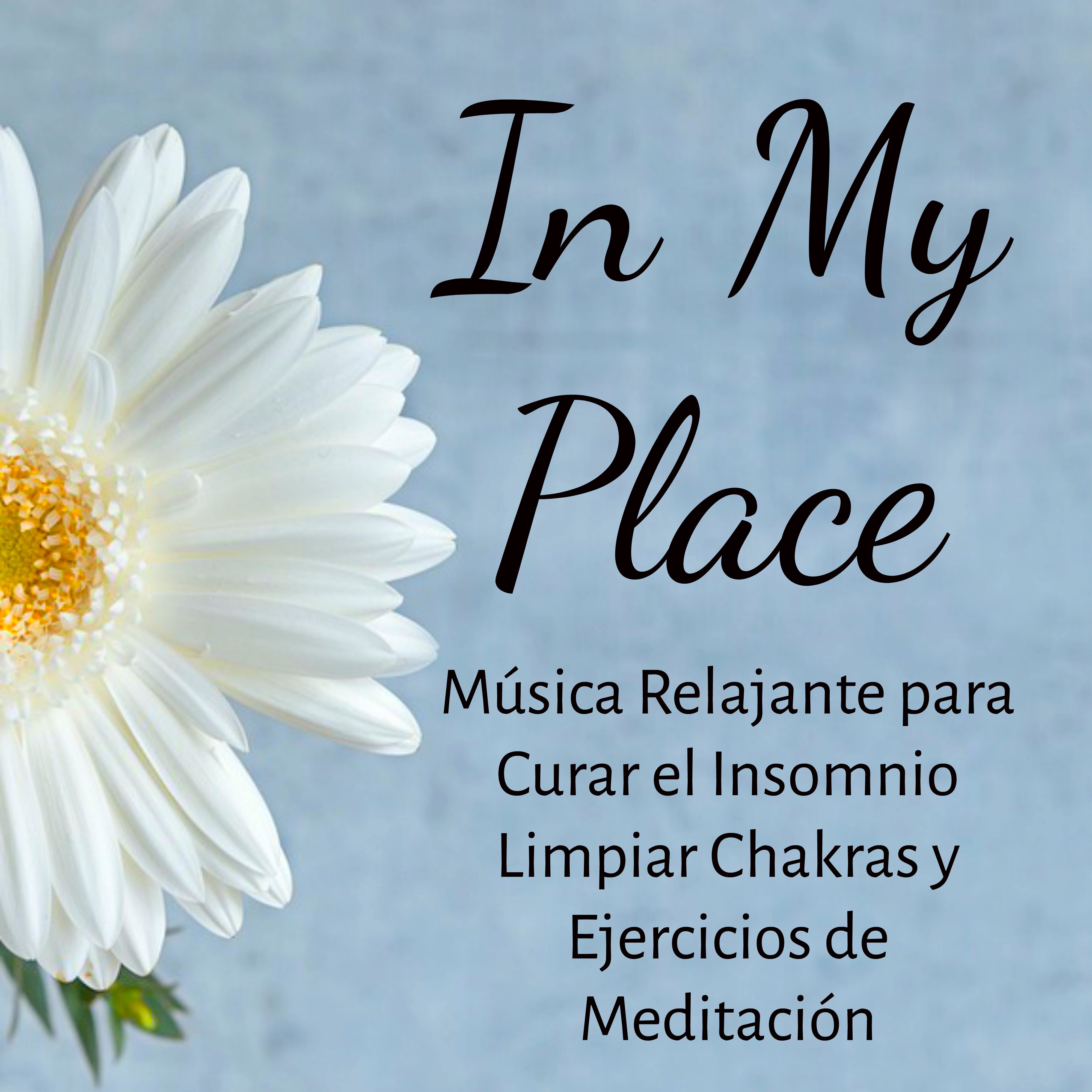 In My Place - Música Relajante para Curar el Insomnio Limpiar Chakras y Ejercicios de Meditación con Sonidos Zen New Age Instrumentales